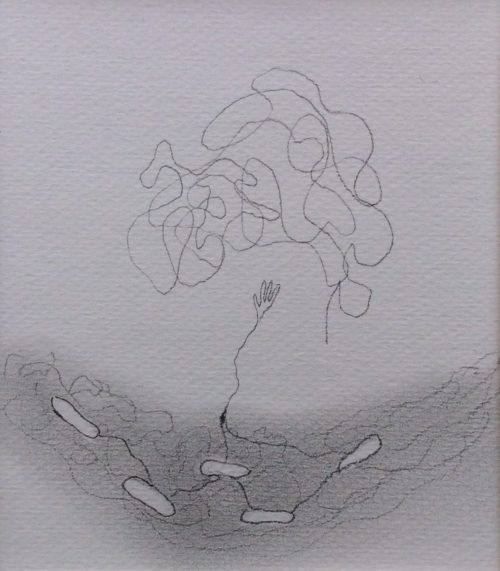 Handje met kronkellijntjes Werk op papier, 2016 30 x 30 cm  Gebruikte technieken: potlood.