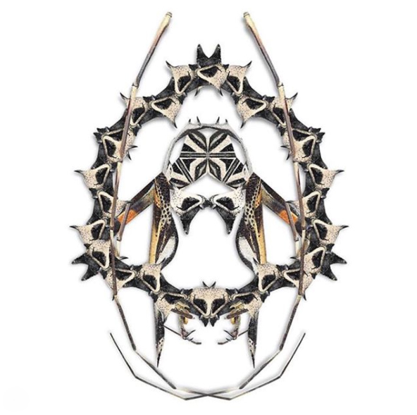 Skizzomat Illustration