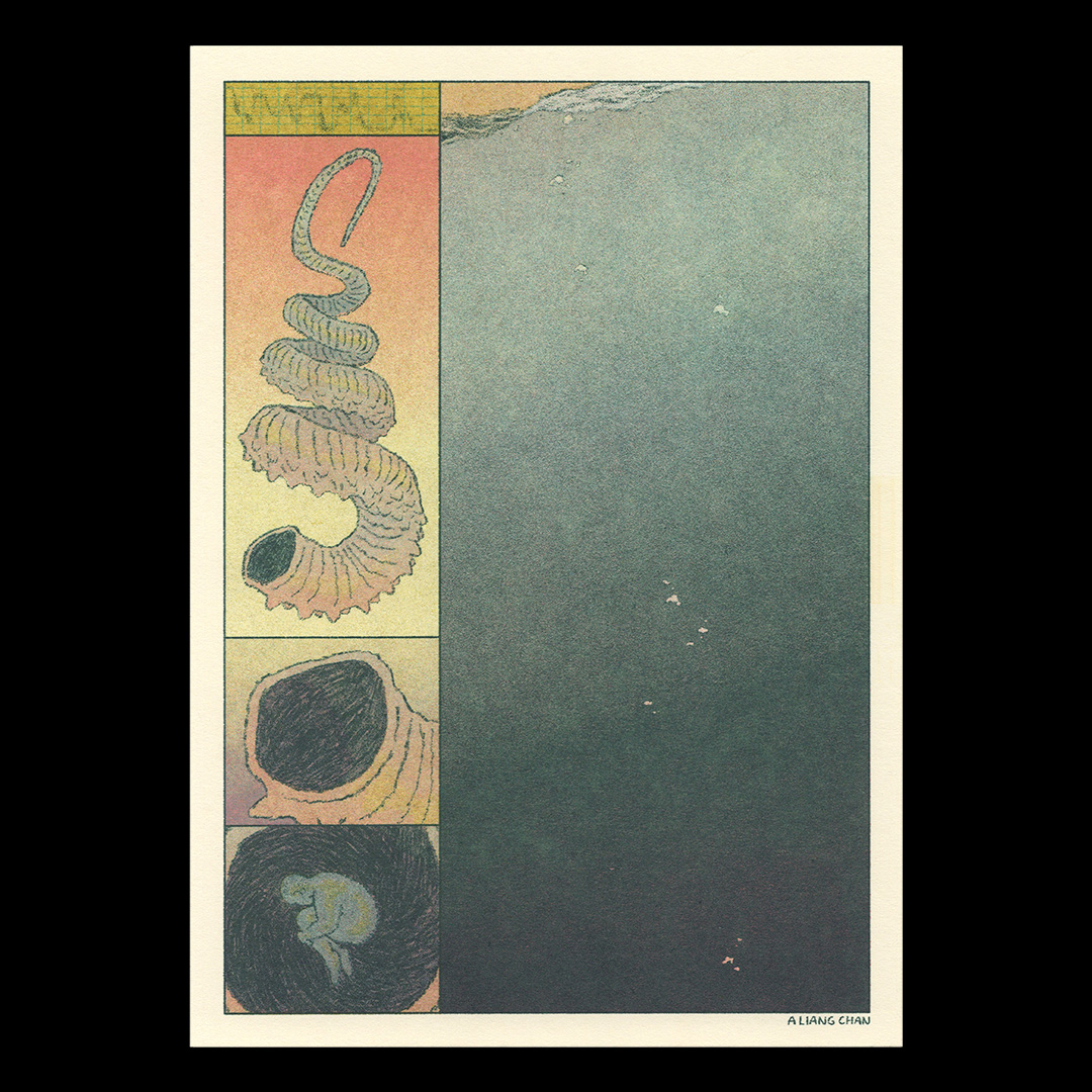 15 submerge (aqua, coral, bright olive green, hunter green)