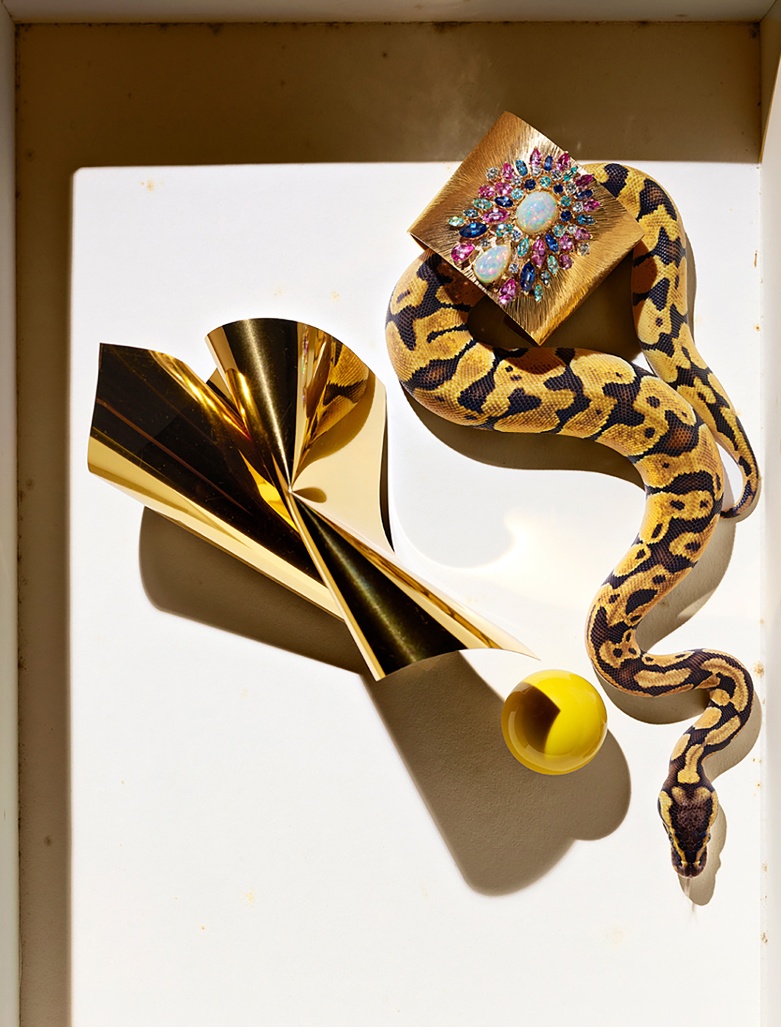 KMA photographer Isabelle Bonjean photographs snake and gold objects against a white background for Citizen K