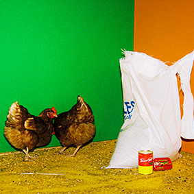 Slowmango -Thairade Music Video - 2021