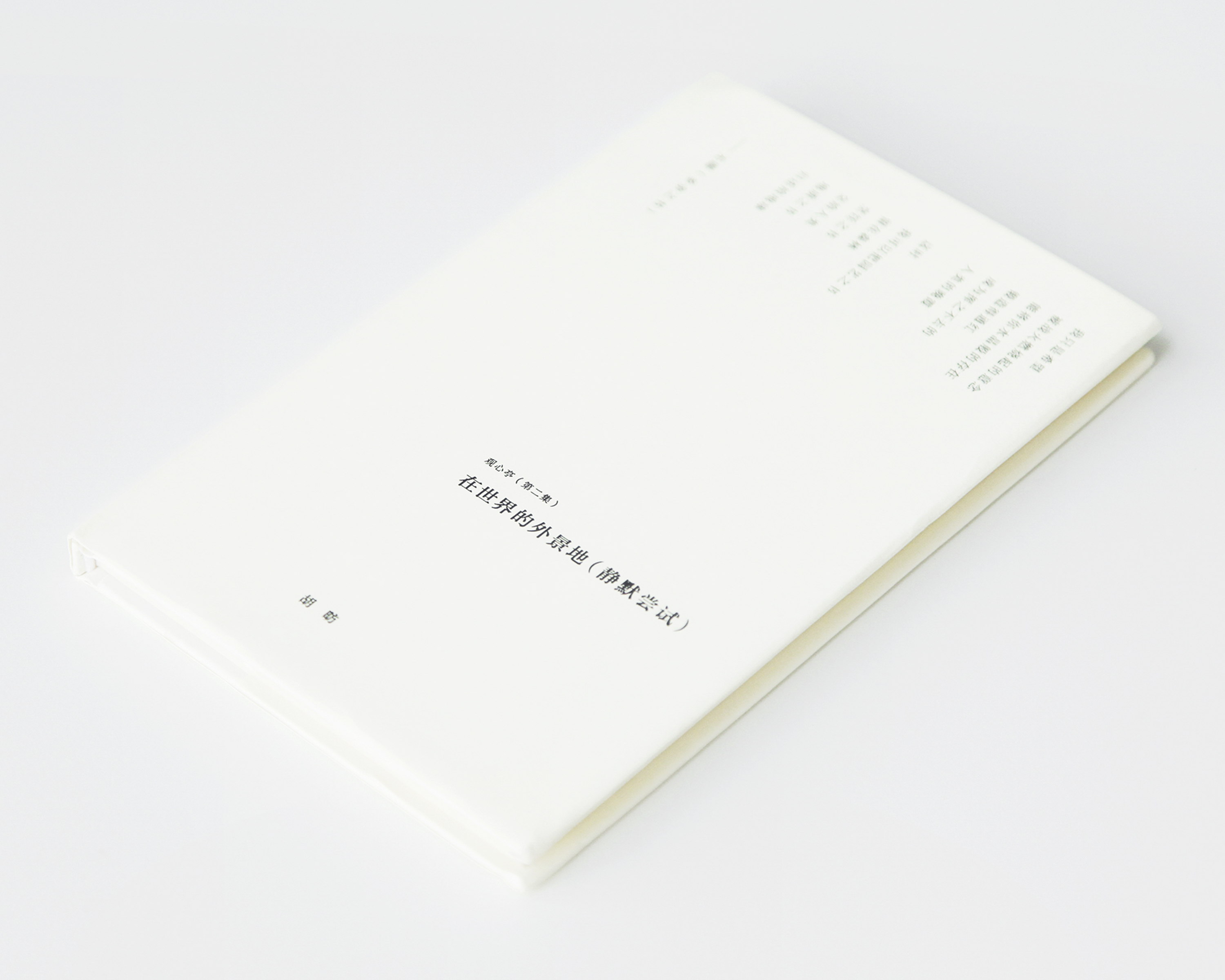 在世界的外景地（静默尝试）(SC) Into the Outdoor Setting of the World (Silent Attempt) (EN)