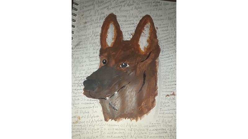 Y, Color Project
