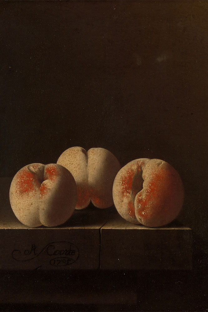 original image by Europeana