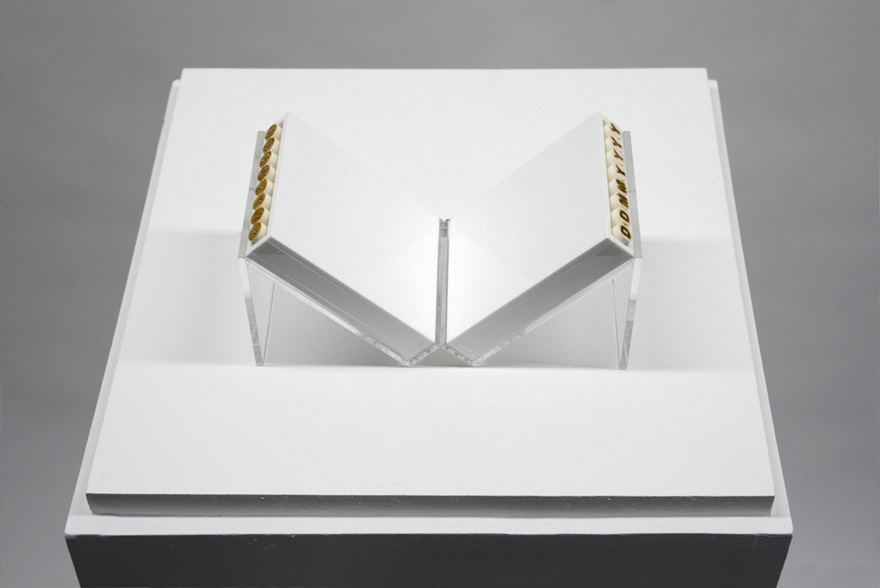 Cellulose Acetate, Smoke, Air (+) / Cellulose Acetate, Smoke, Air (-)2013–2014Cellulose acetate, smoke, air, acrylic cases and stands