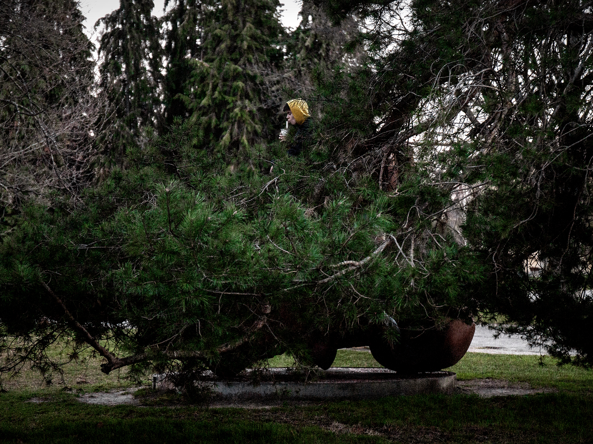 Young man drinking in a park Pamplona, Spain, 2023photography, color, single