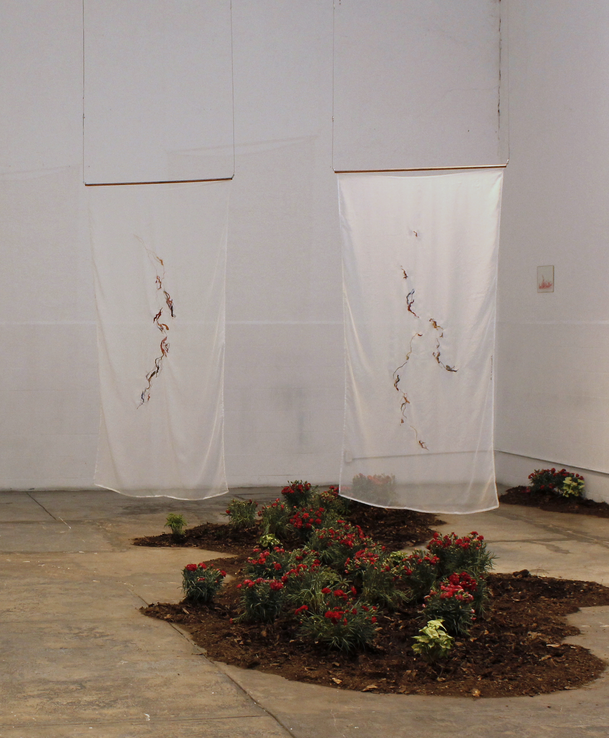 Donde crecen los claveles__Galería LOOT