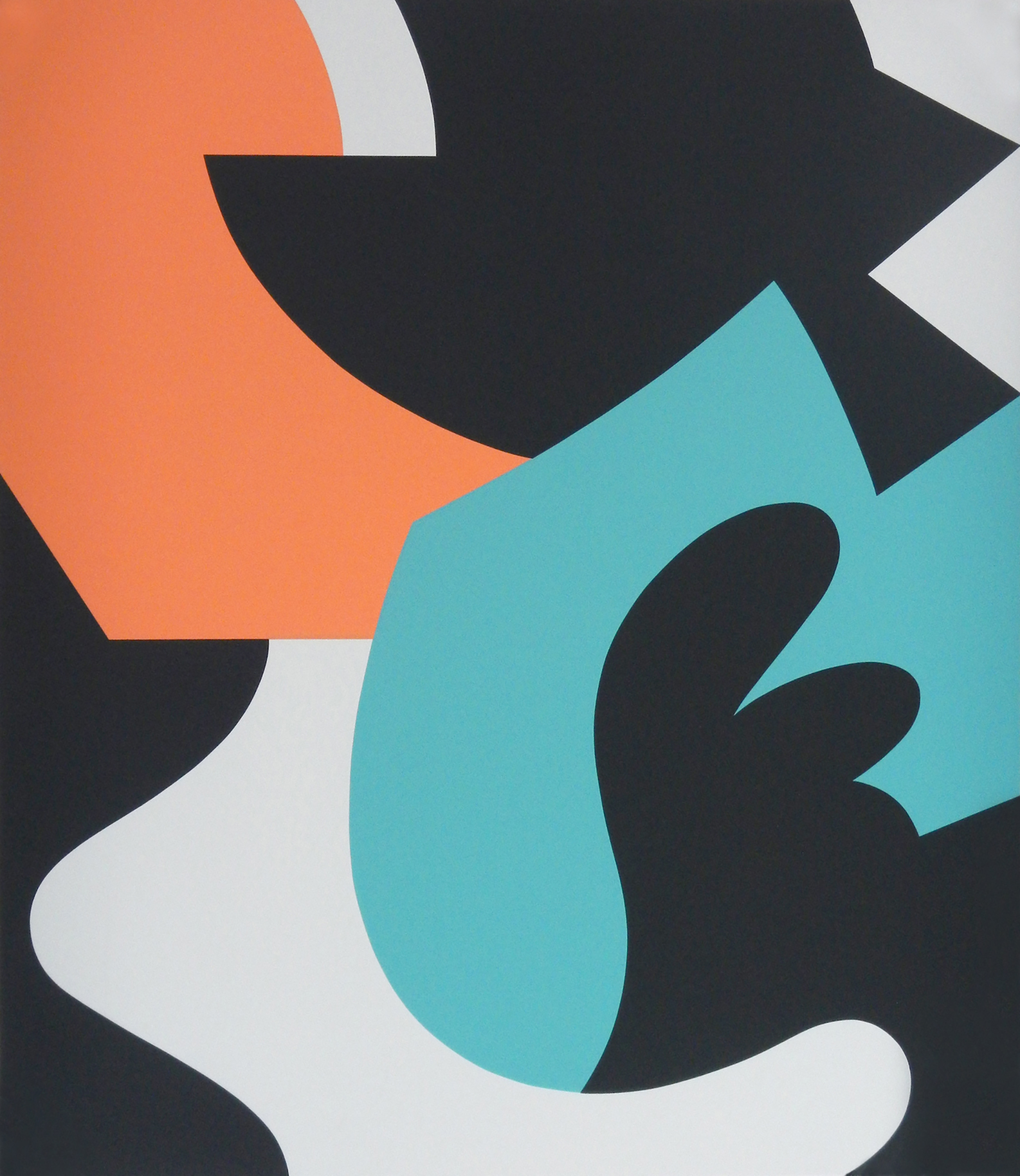 The Wonderful Cat 2, 29" x 33.5", Silkscreen on Paper