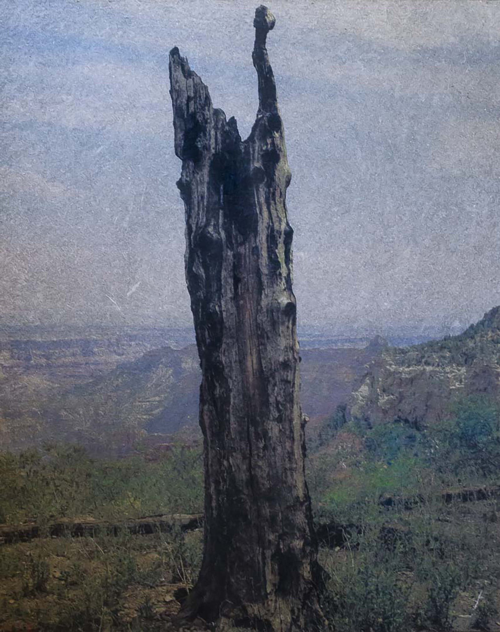 © Franck LANDRON Grand Canyon