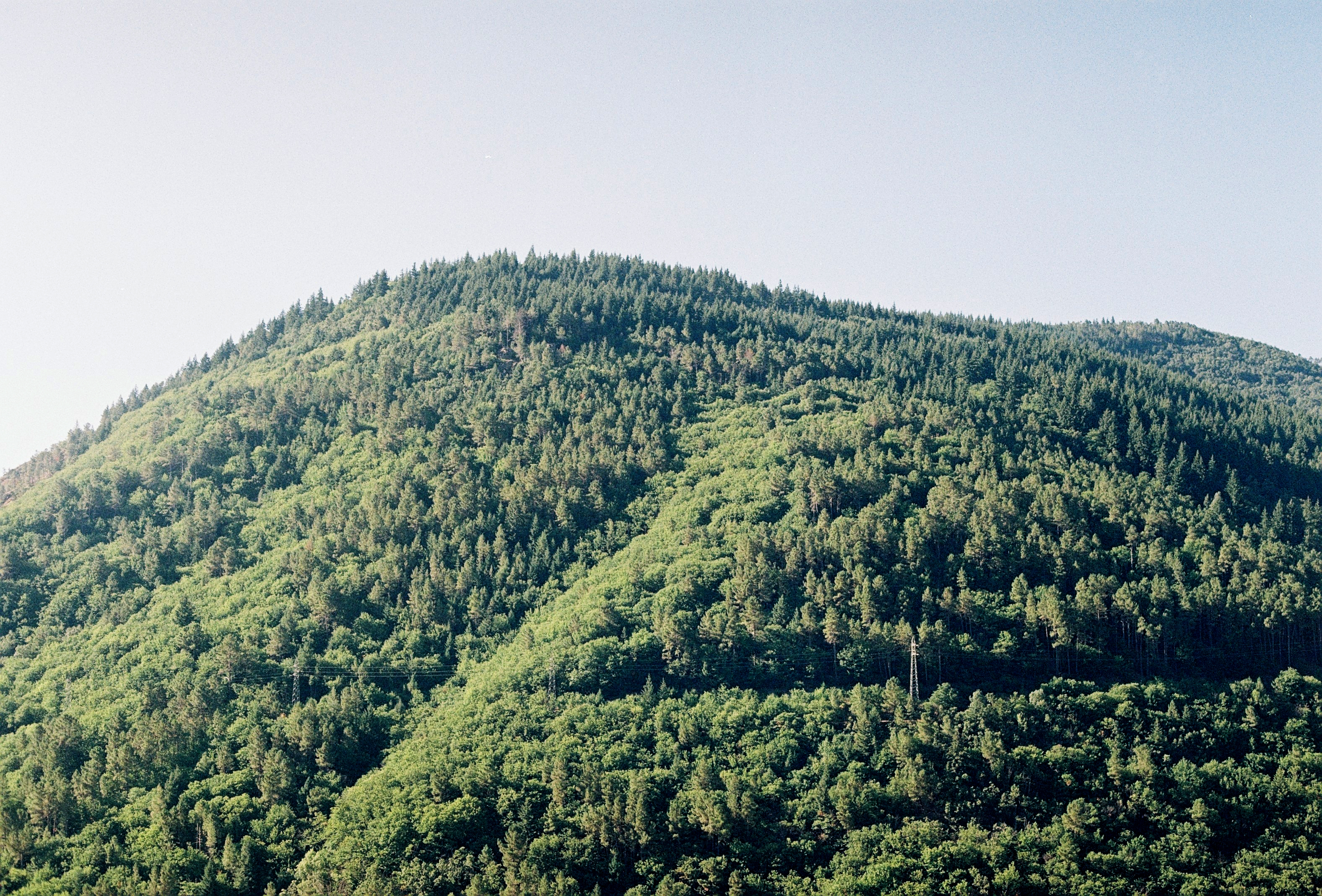 Serra da Estrela, Portugal, 2023, Canon FTb