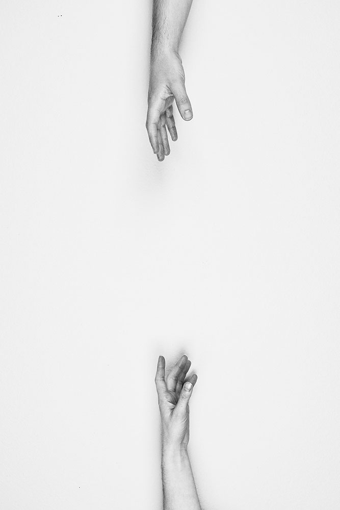 original image by Mitchell Hollander