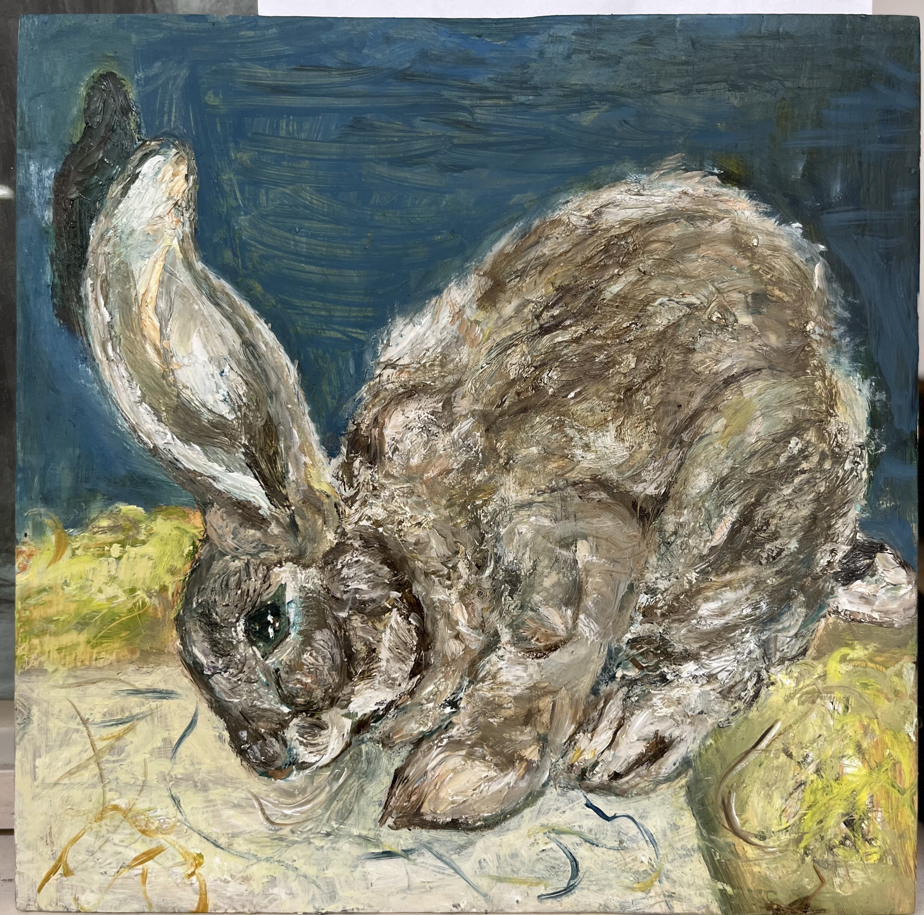 Portrait of a rabbit, Honey, exhibited Wales Contemporary 2025