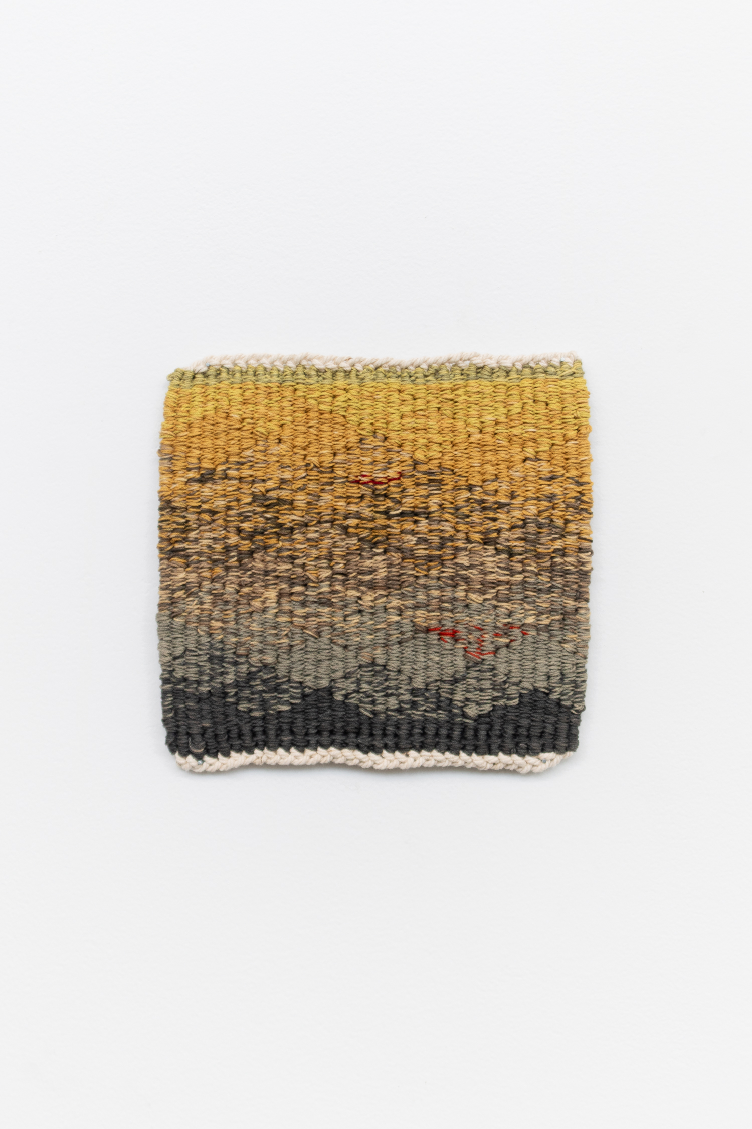 Jacqueline Stojanović, Tannin I, 2025, Pomegranates and cotton, 18 x 19 cm