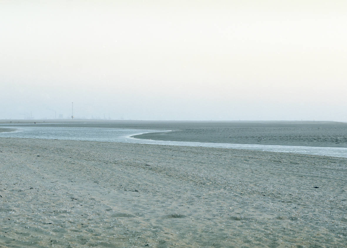De Zandmotor, Monster