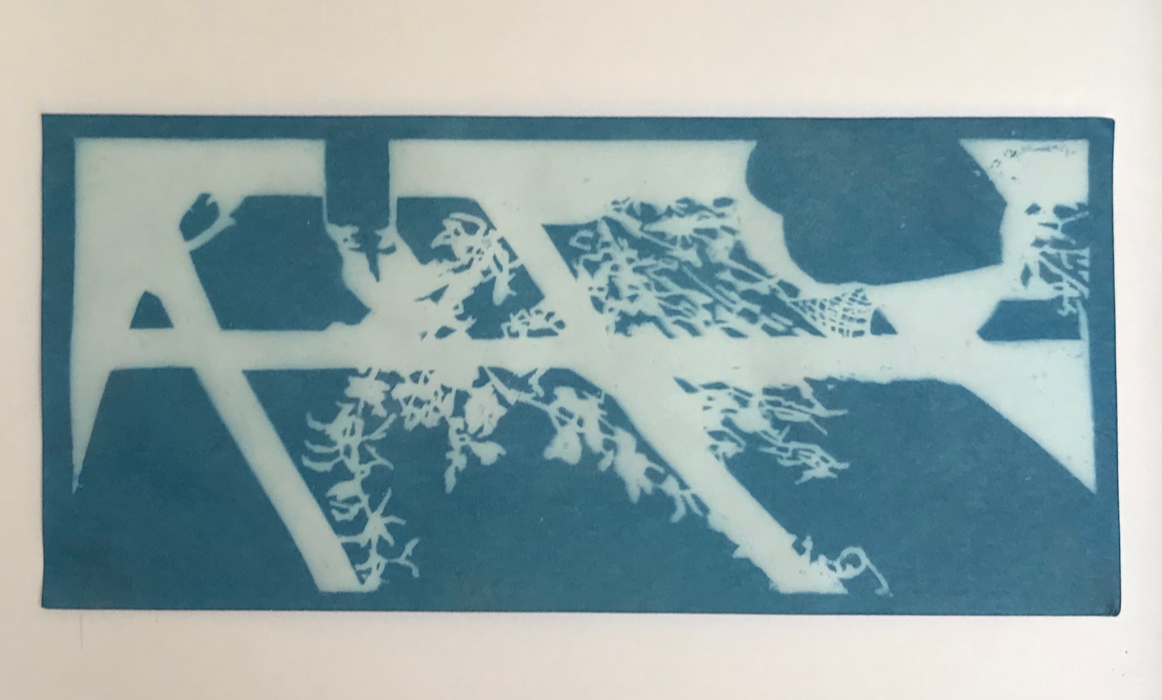 Untitled (Sunprint Dollar) / cyanotype on paper, 2020