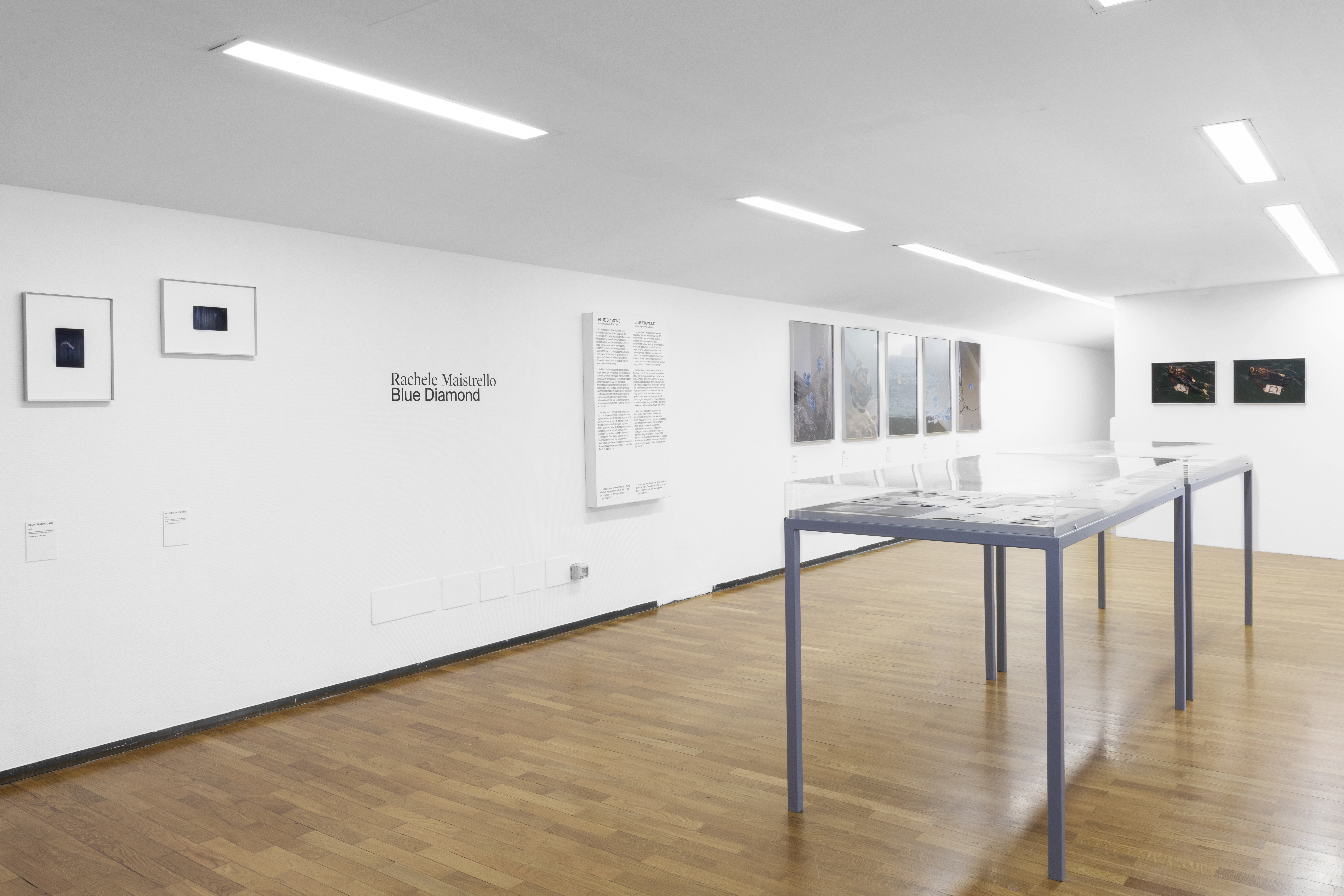 Rachele Maistrello, Blue Diamond, installation view at PAC Museum. © Lorenzo Palmieri. Image courtesy PAC.