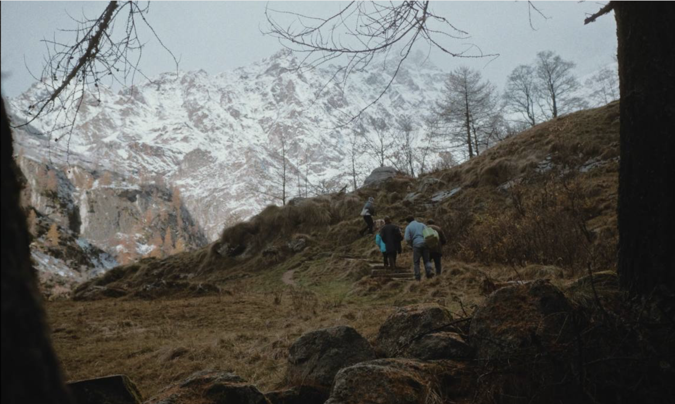 FOTO DI GRUPPO, Tommaso Frangini