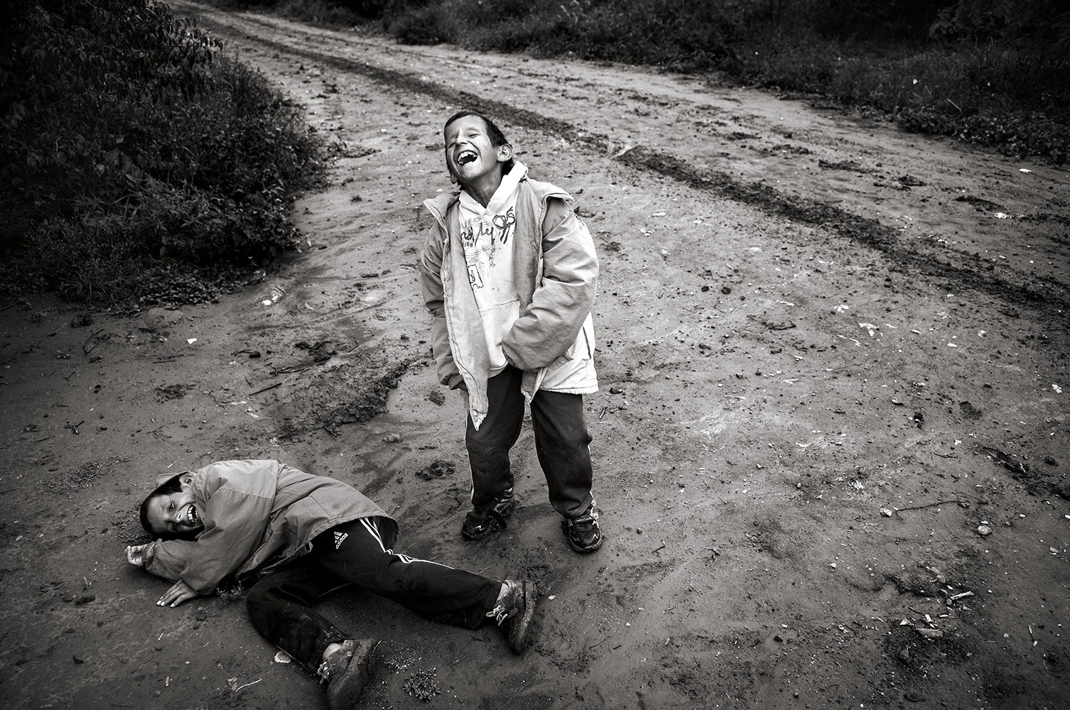 The Human Cost of Agrotoxins