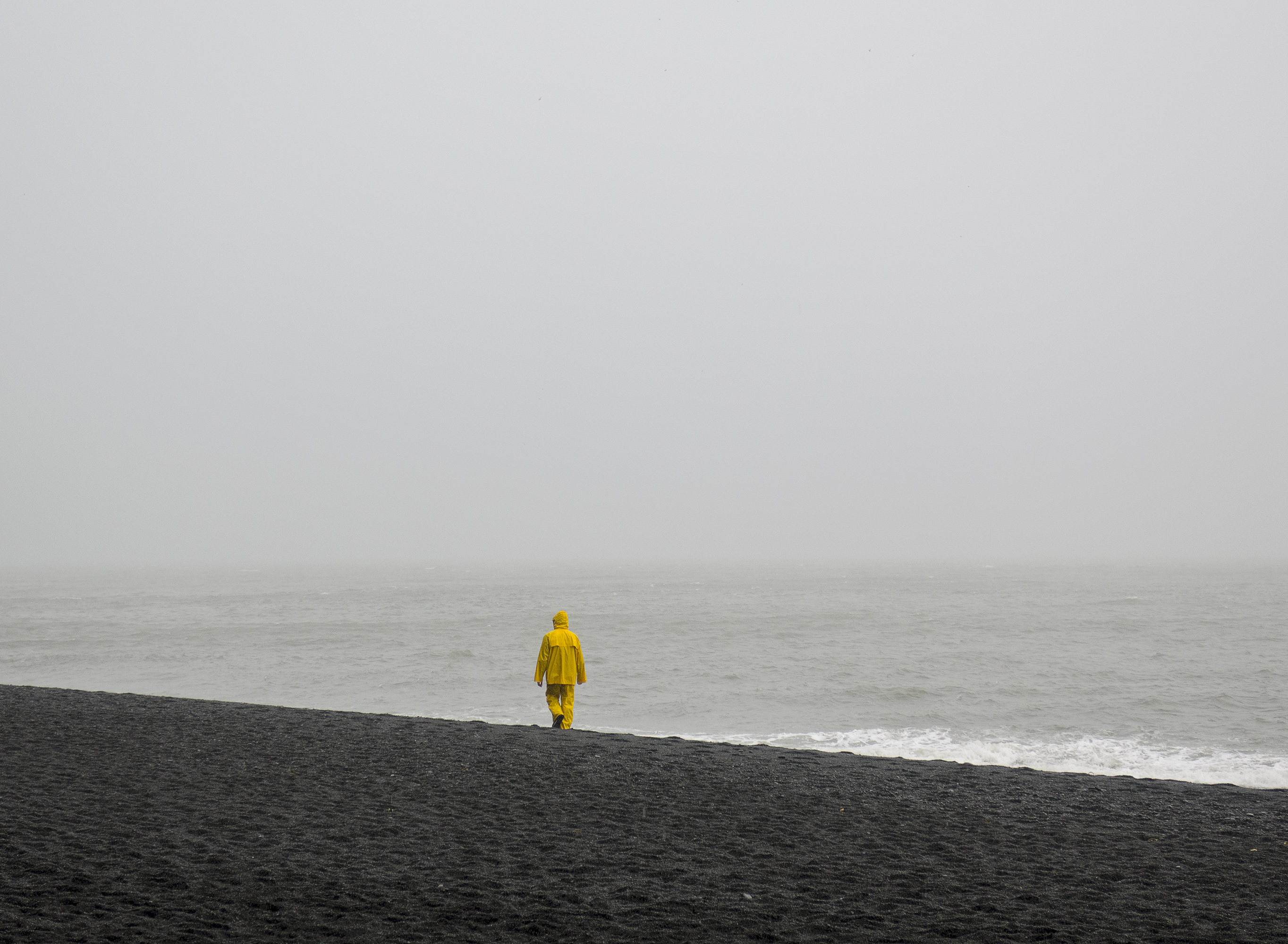 Domingo Nardulli TIFF