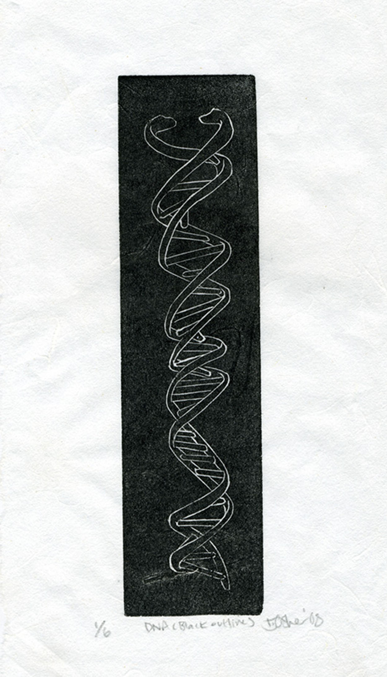 "DNA (black outline)" 2008; One Color Linocut Edition of 6