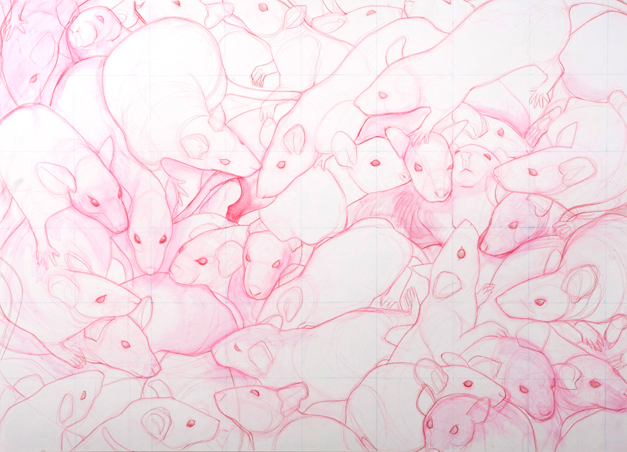 Rats, Colored pencil on panel, 35 x 50, 2012