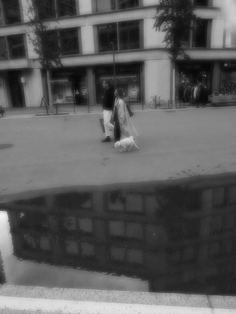 ERINNERUNGEN AUF SCHIENEN  von Linda Z&uuml;rcher