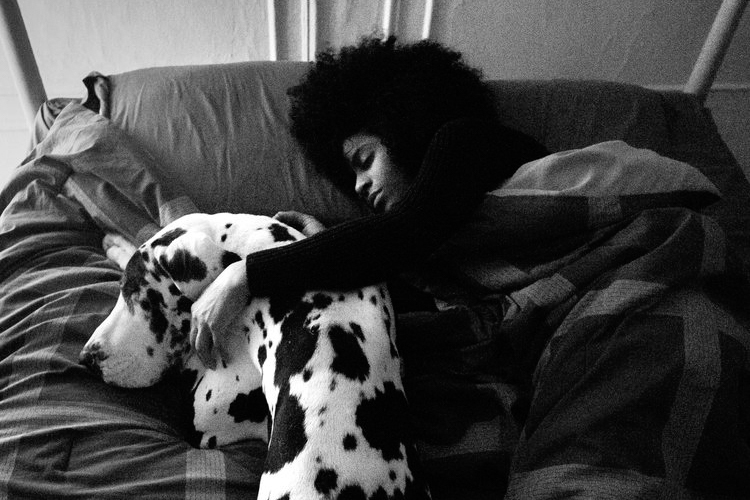 The New Yorker Magazine - What Life in New York City Looks Like with a Great Dane