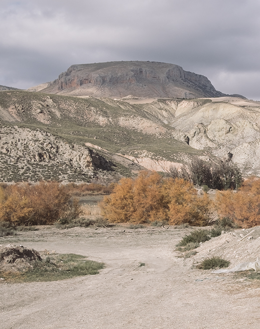 Foto detalle paisaje territorio Hoya de Guadix Granada