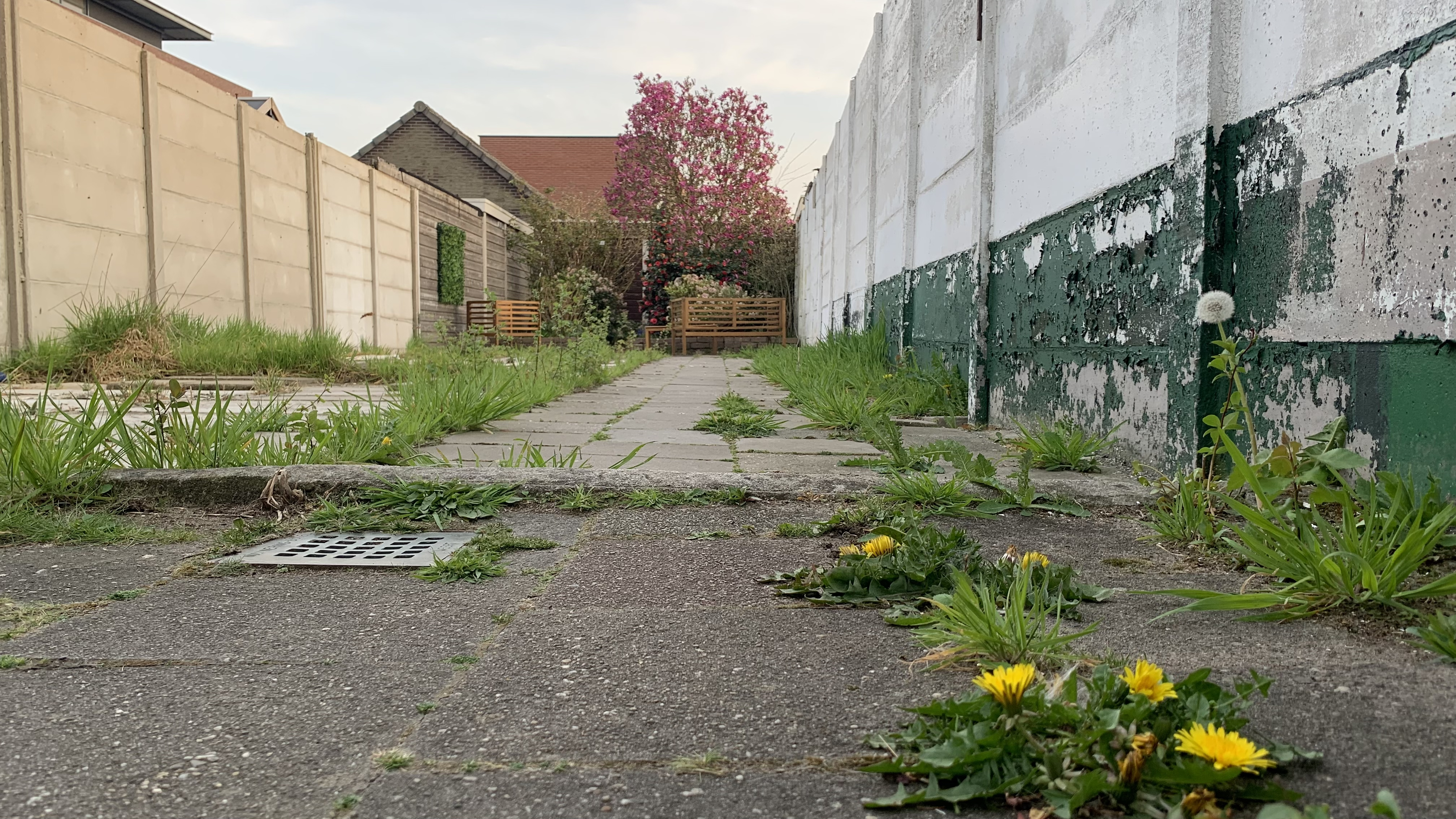 P3. 11 April 2025, after a breifly clean up.