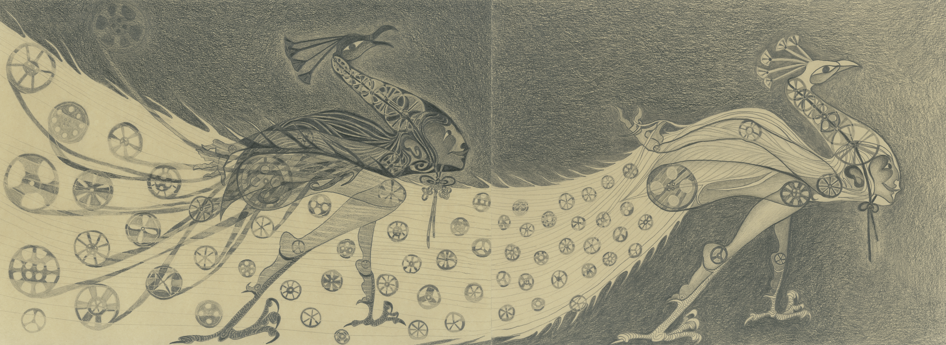 White Peacock and Shadow, graphite on paper, 80.7 x 29.7 cm