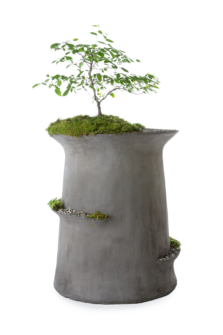 Concrete Modern Vessel Planter-Cherish  Asian Paints Colour of the y –  Eliteearth