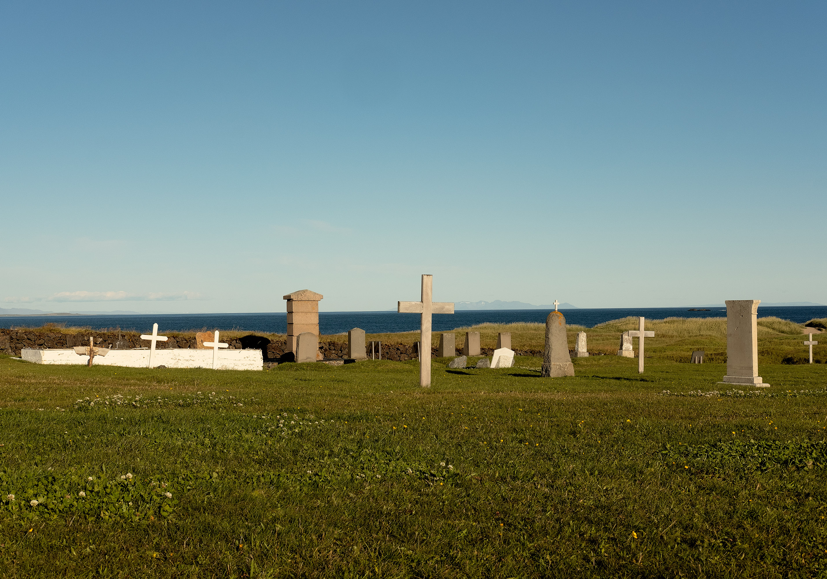 Domingo Nardulli TIFF