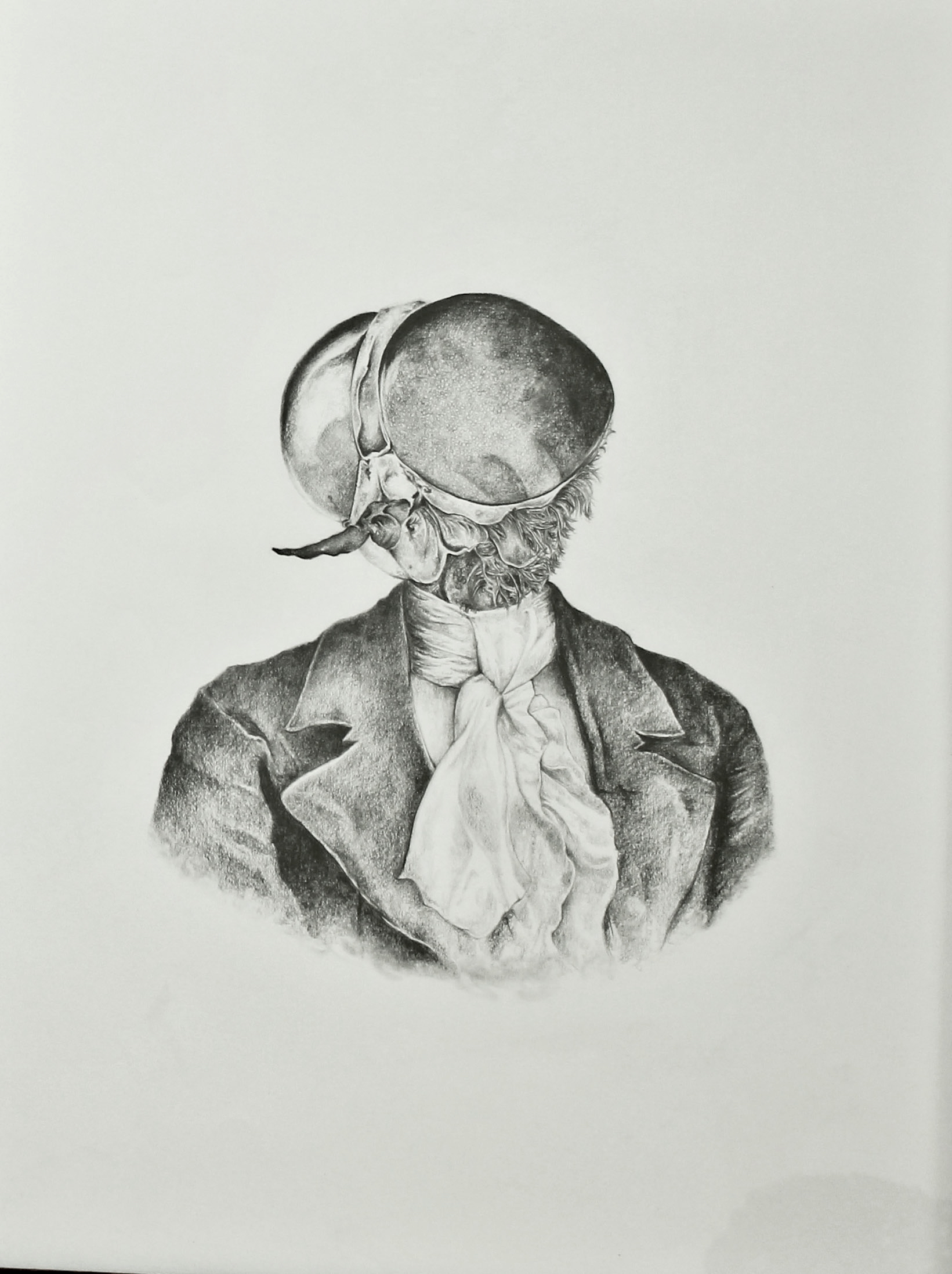 Specimen III. Graphite on paper, 64cm x 48cm, 2011