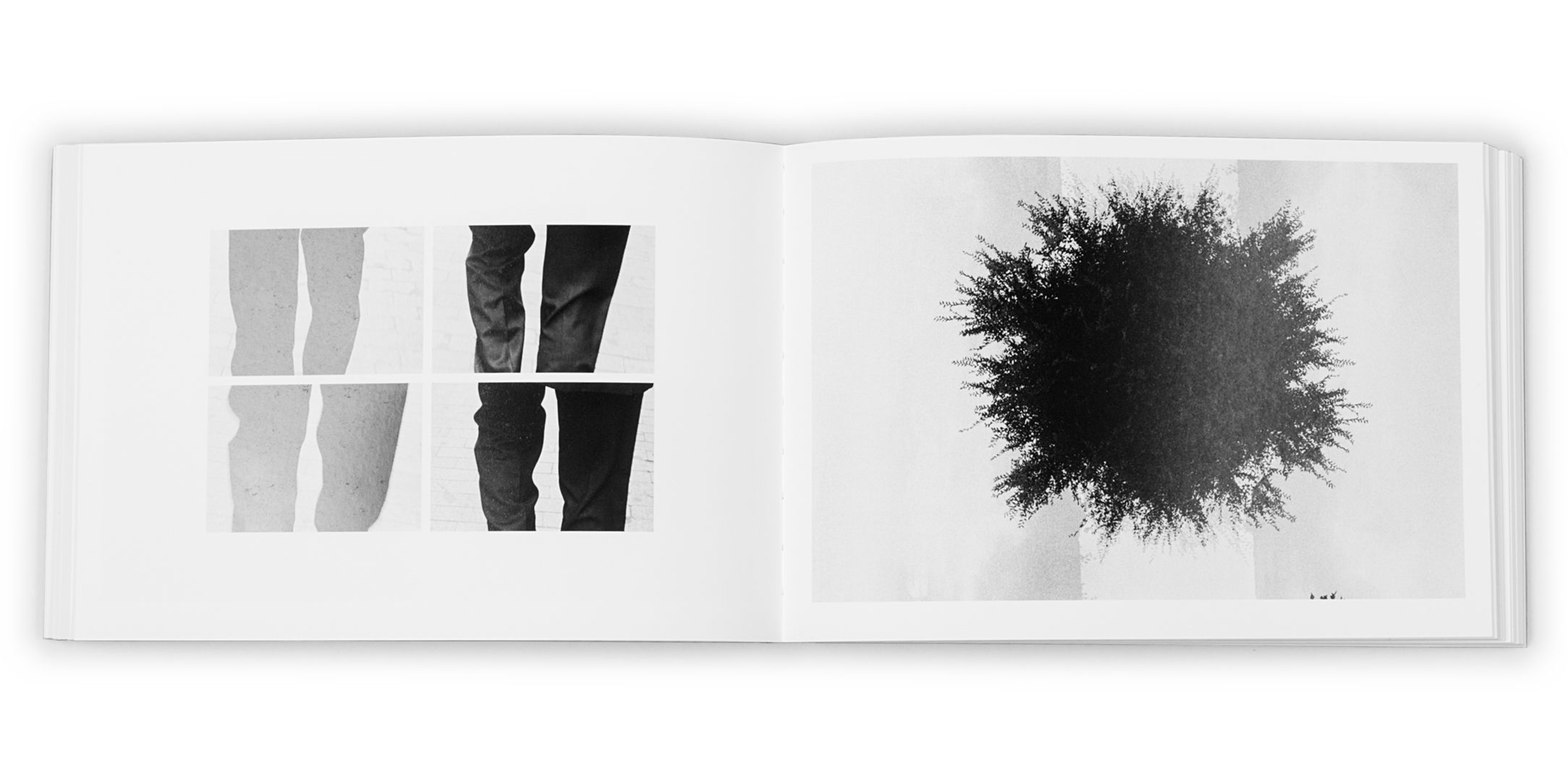 A. Alejandro Marote. Editorial RM, 2015