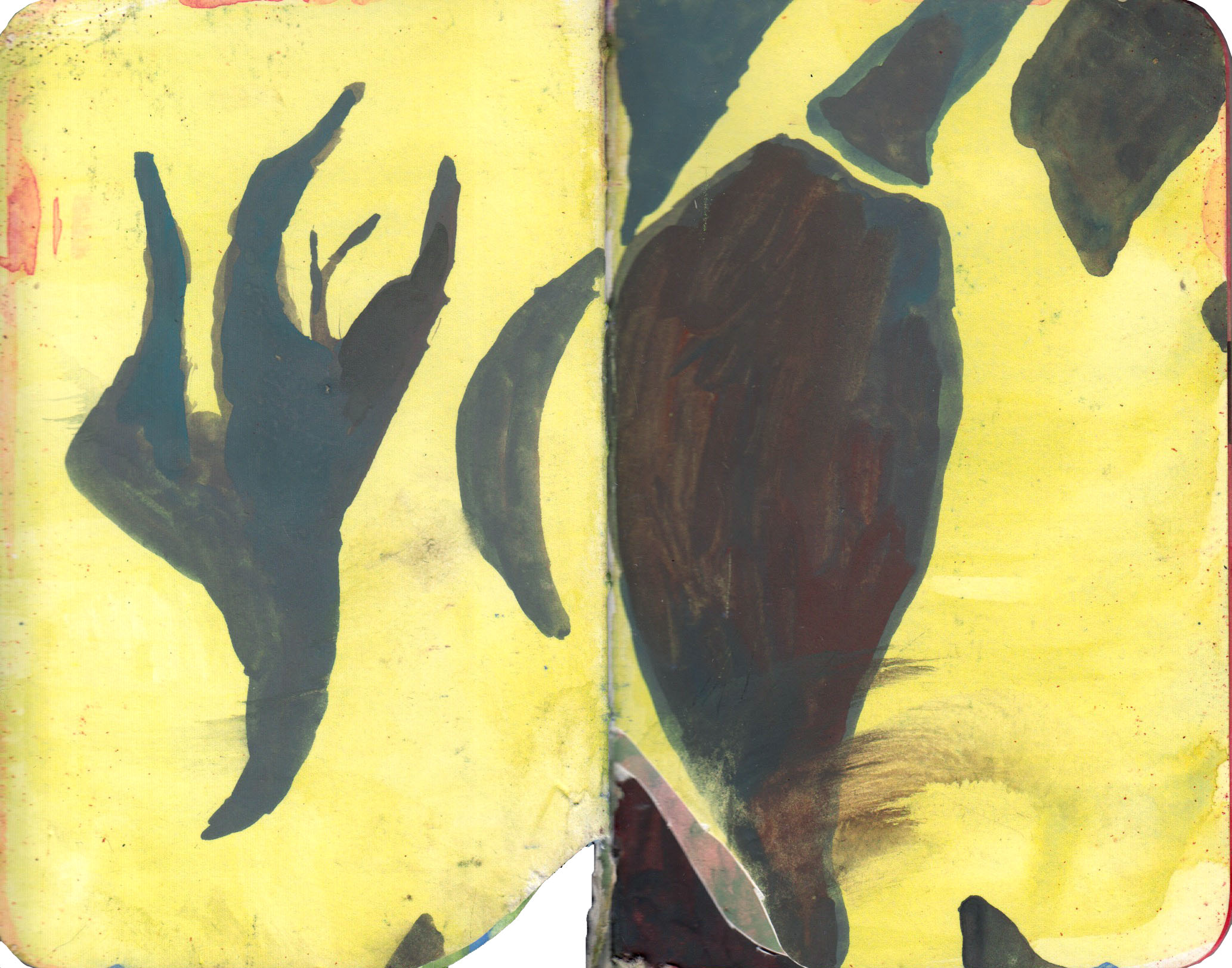 Abstraction of bladderpod drawings, gouache on paper, 2022