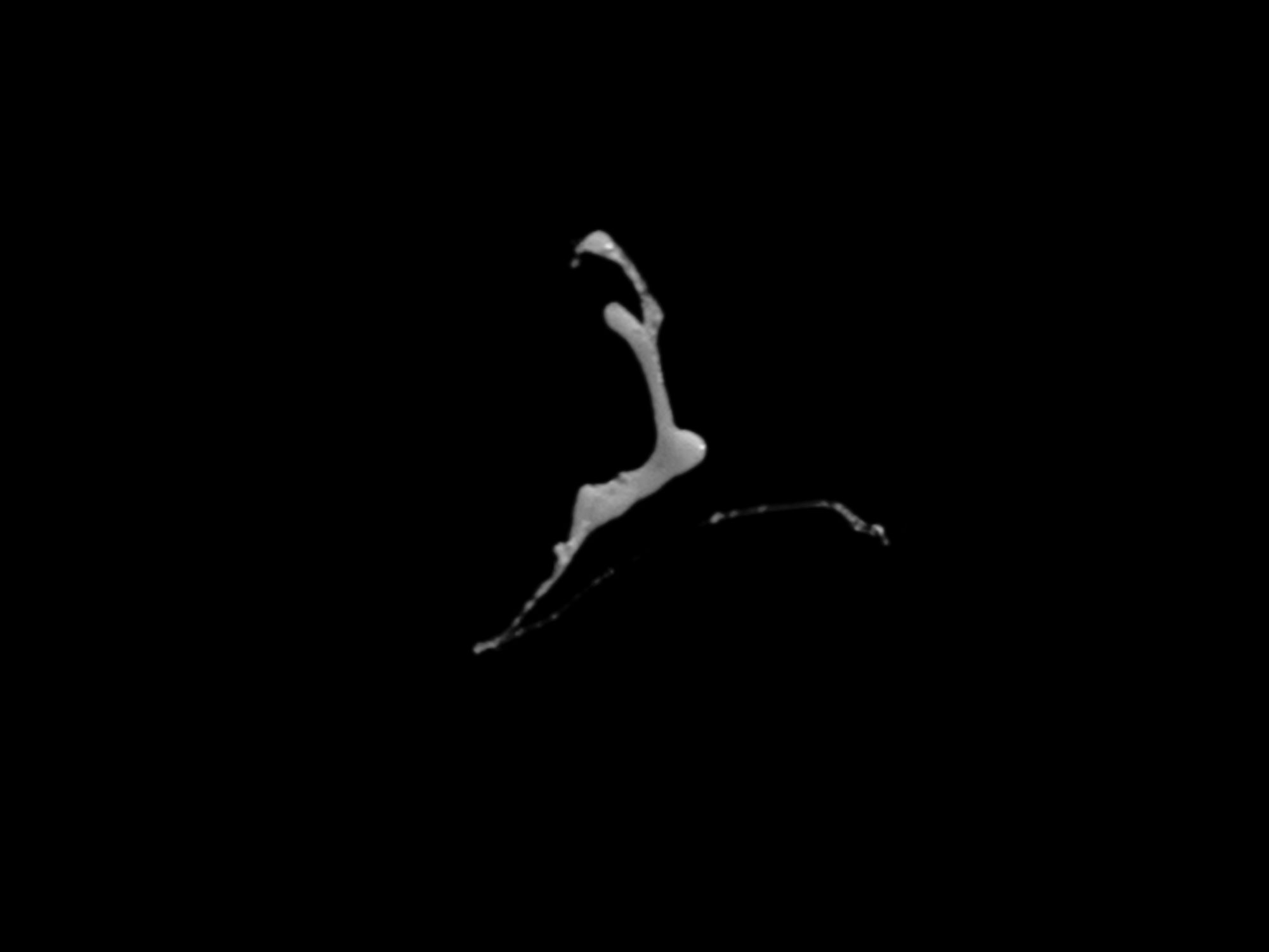 Utterance #07, 2020 [still]Single-channel video projection, b/w, silent11 sec. loop, variable dimensions