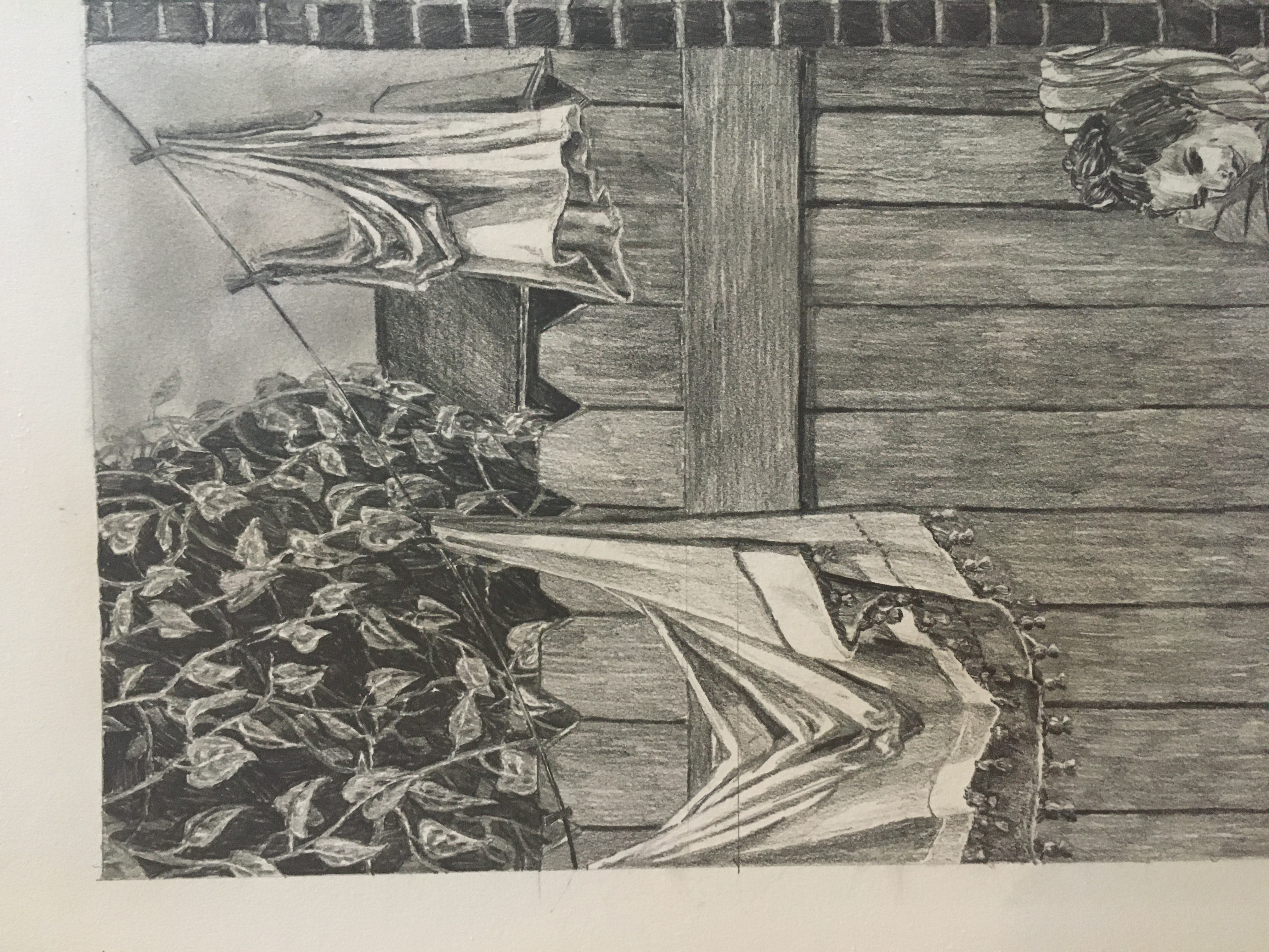 Detail of "Pyramus and Thisbe," graphite
