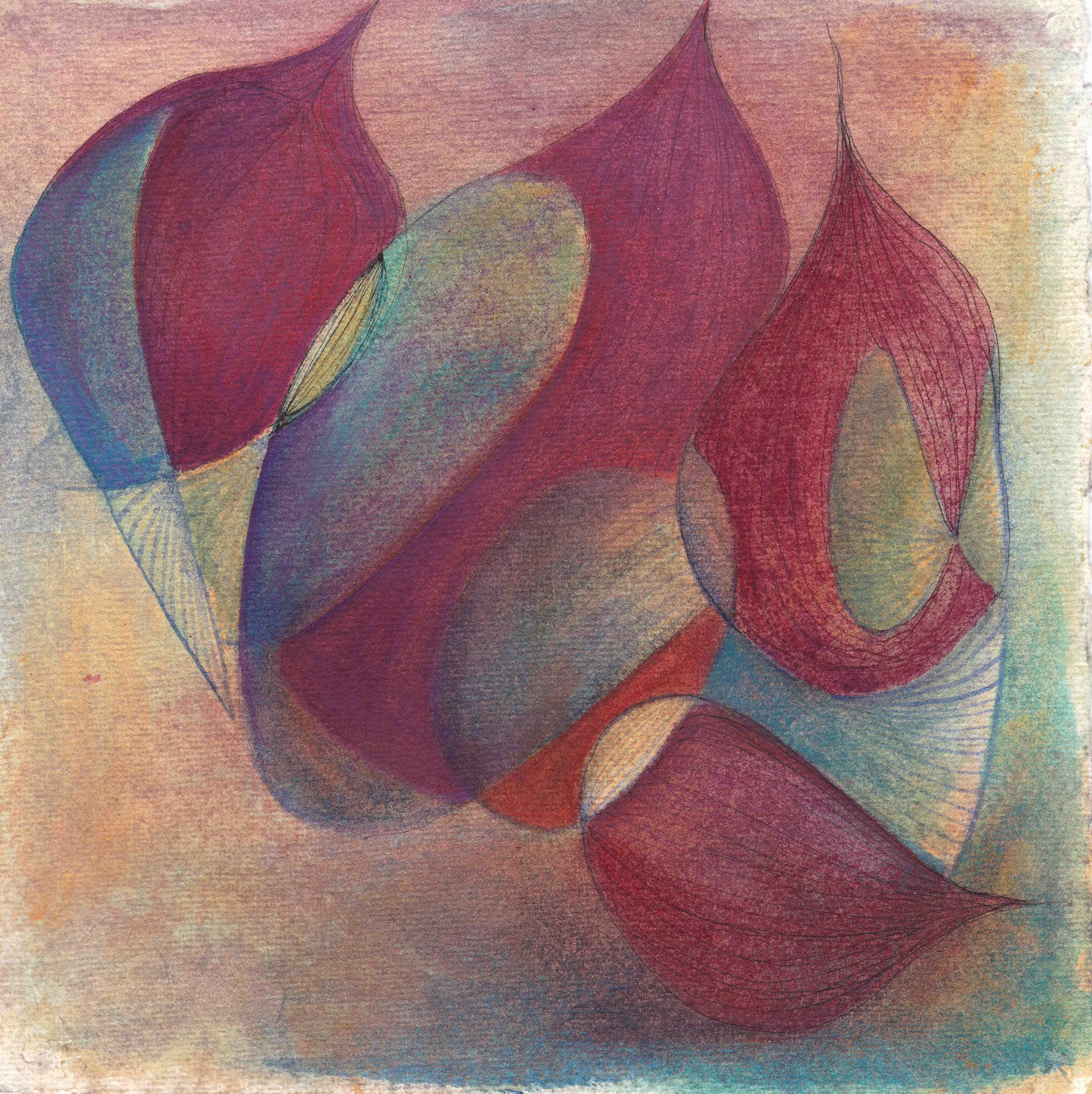 Beet / mixed media on paper