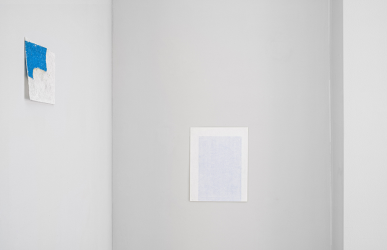 Installation View Suchness 2016 Photo: Alex Delfanne