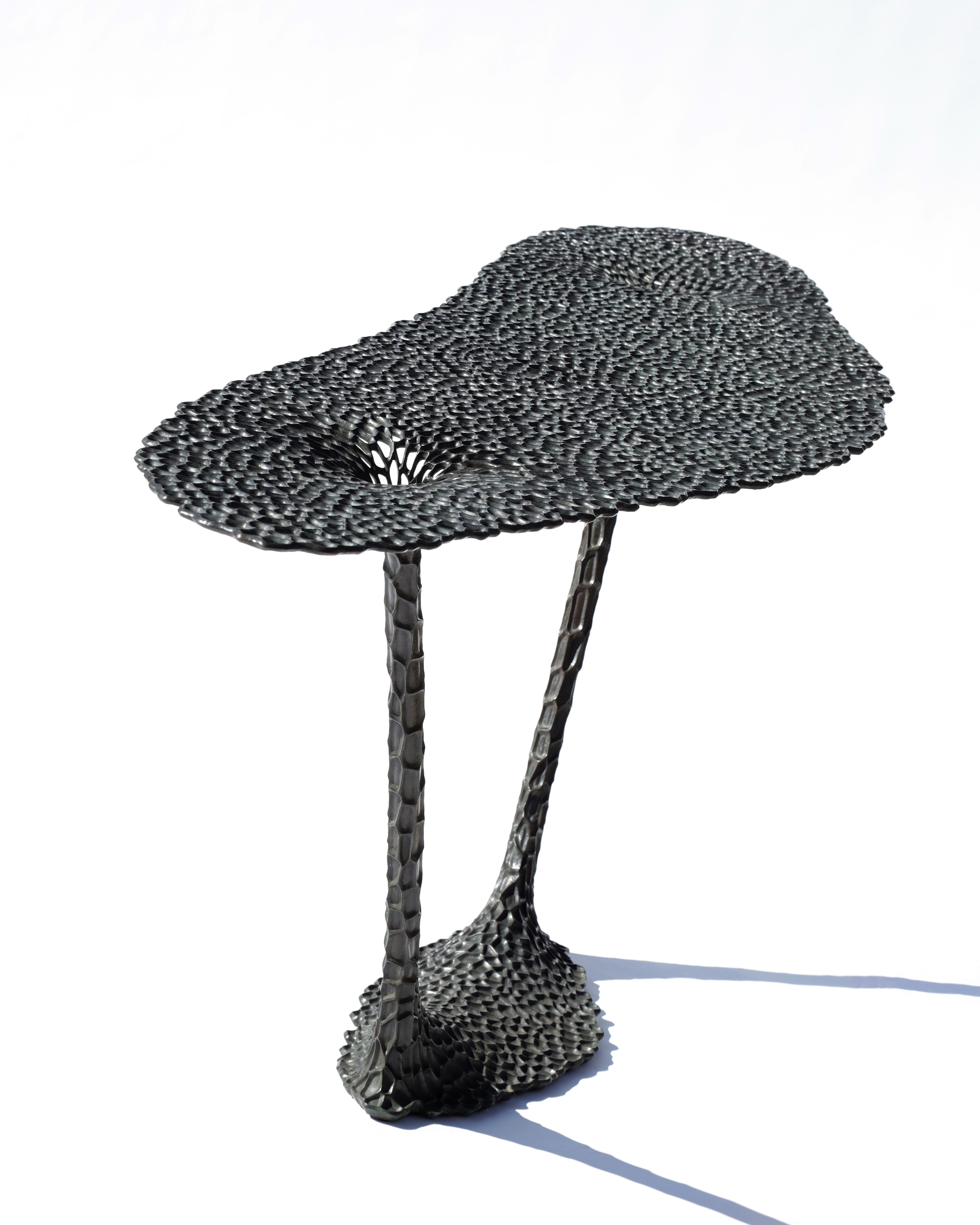 Consola, 2025 / 75x210cm, 29.5x82.7"