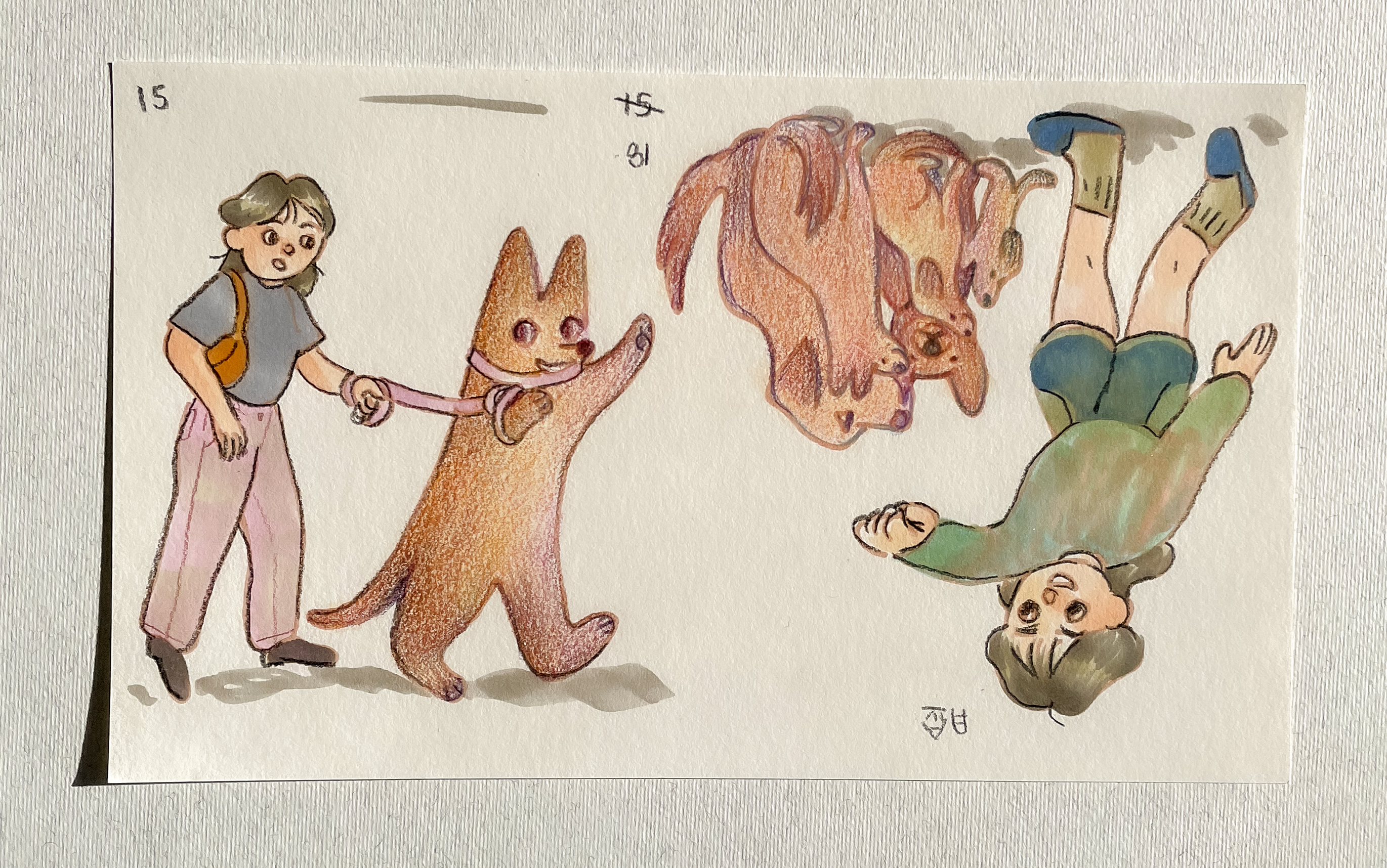 Walking dog, many dogs, $30