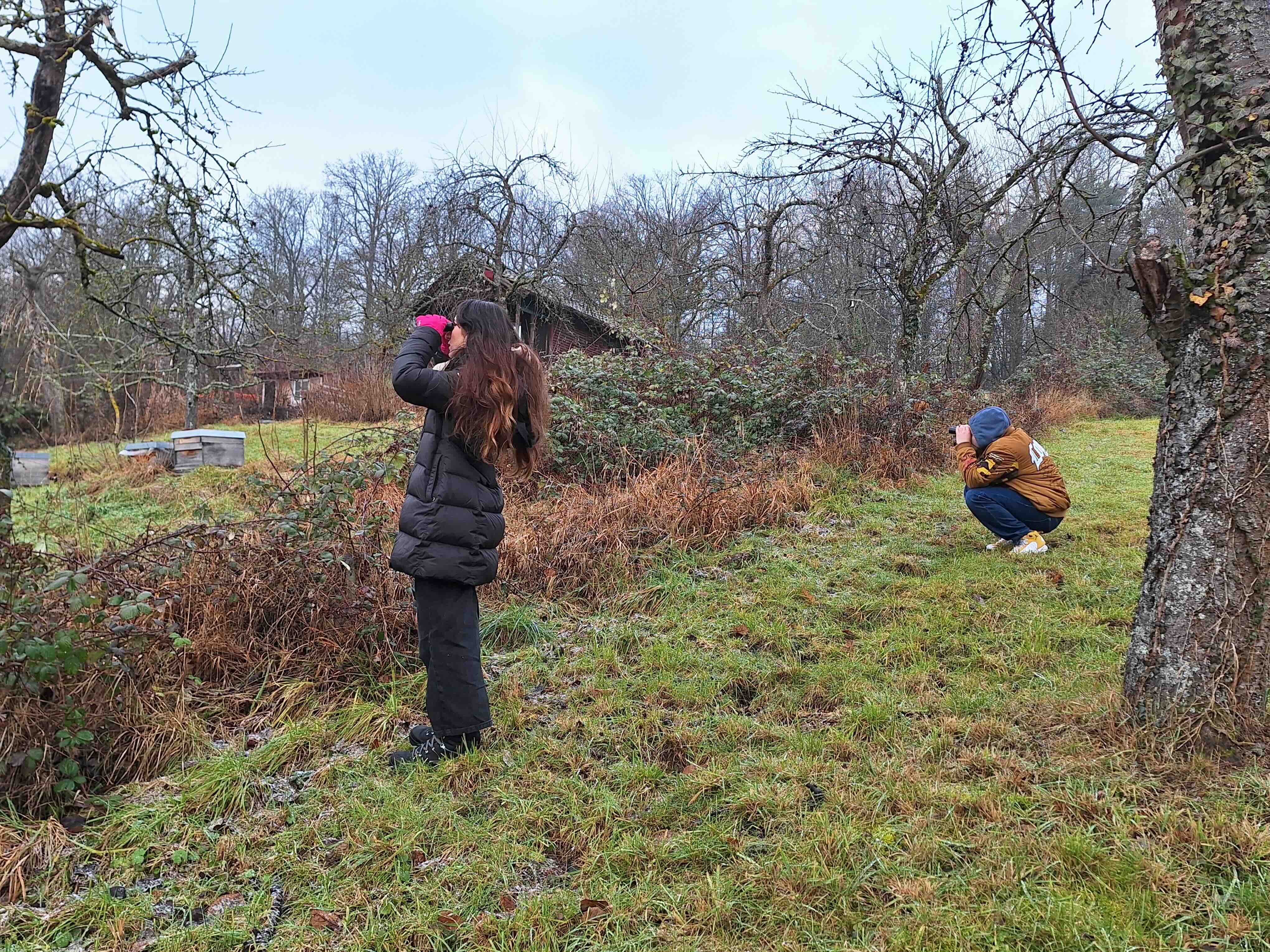 Image: Wolfgang Zaumseil