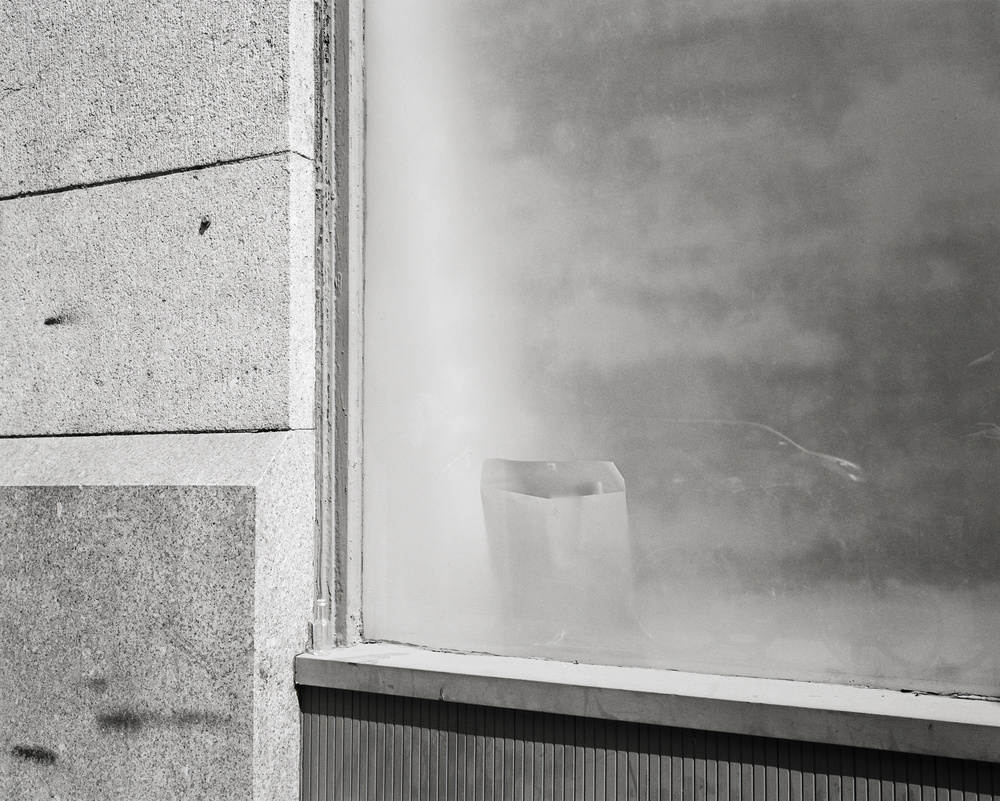 Like a Dog Tracking a ScentInterview with Rory Mulligan