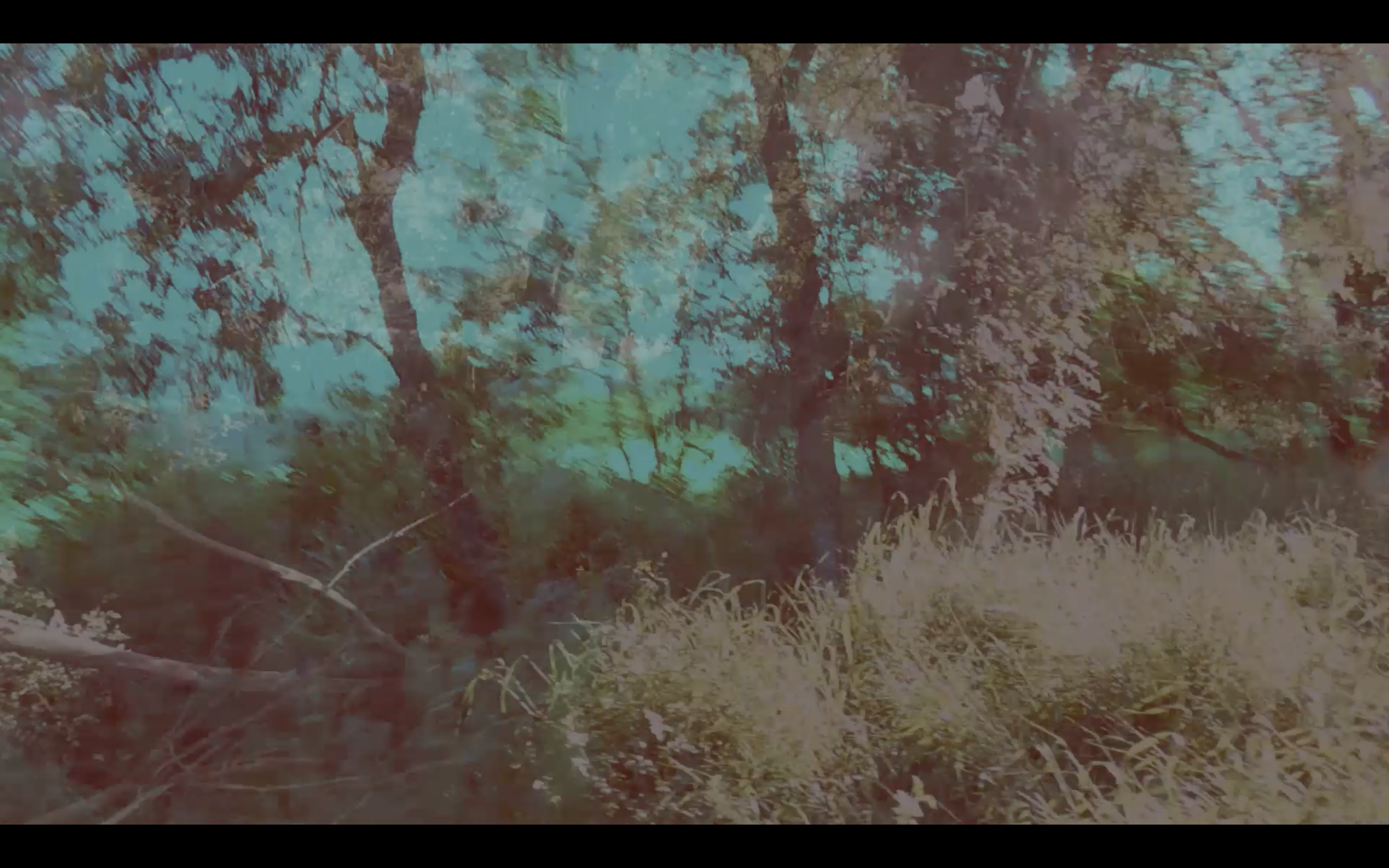 After the Water (2019)