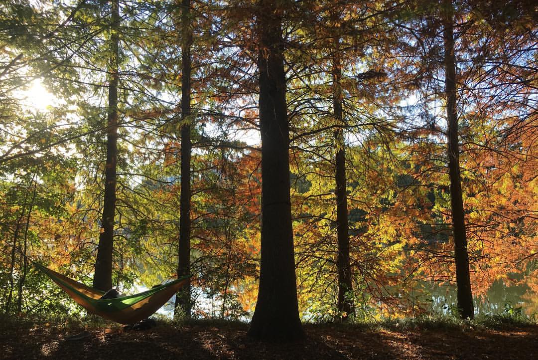 Piedmont Park - Atlanta, GA, U.S.A. (2016)