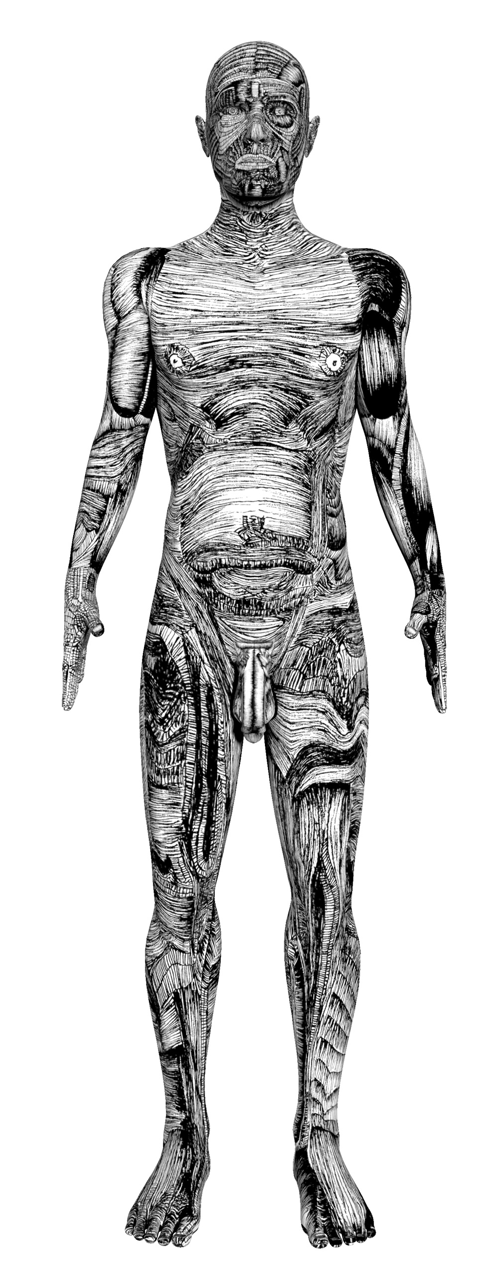 Ryan body 3D render - 21x29,7cm - print