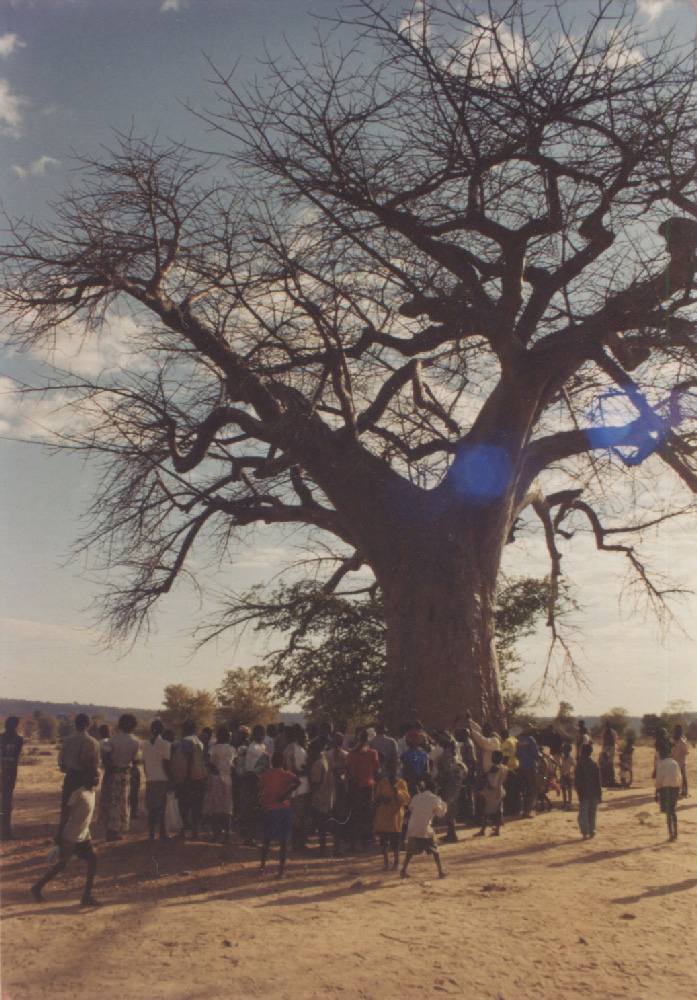 Simonga, ngoma buntibe group at Siachilaba, Binga 2001 © AZFA