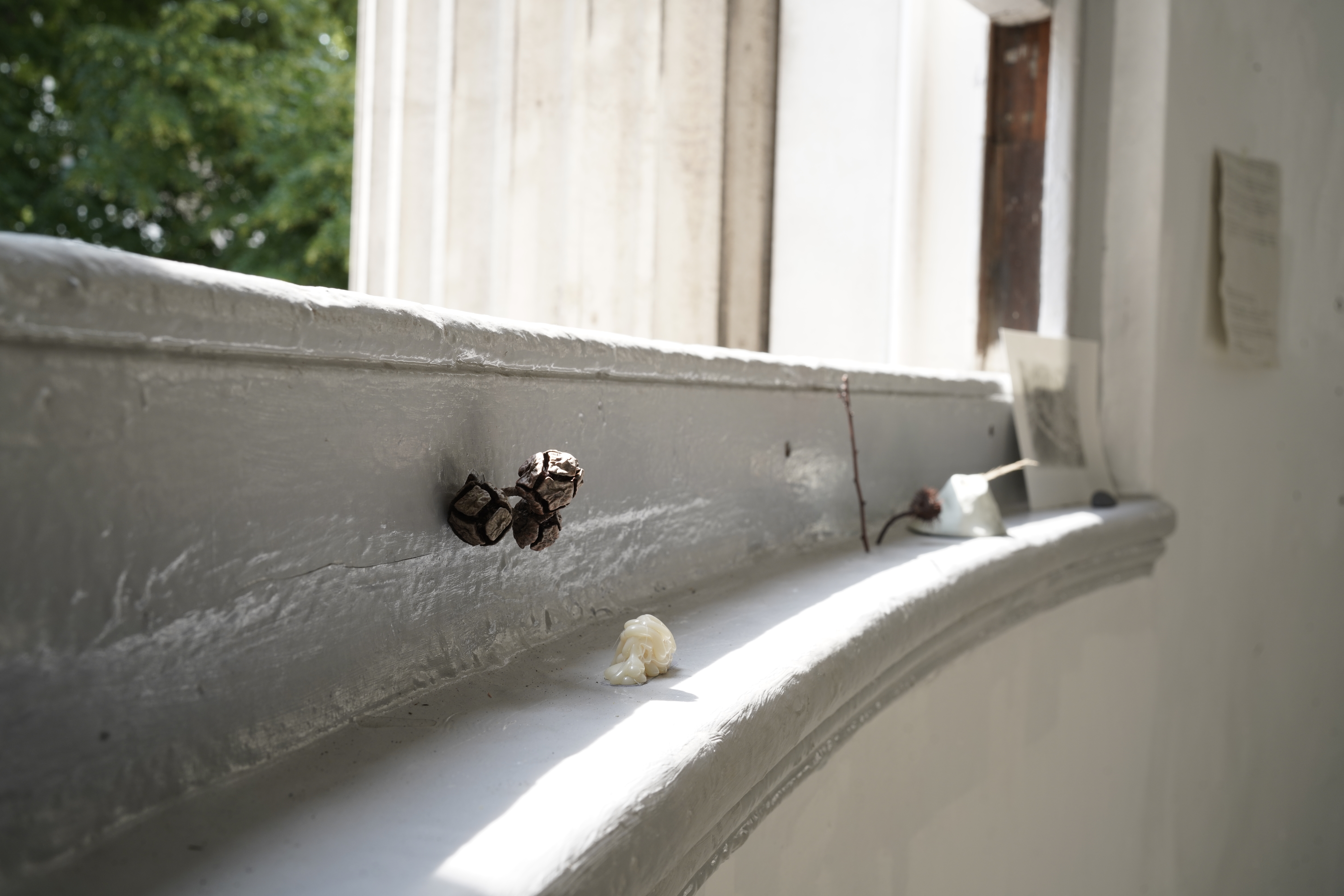 Photo credits Thea Wang