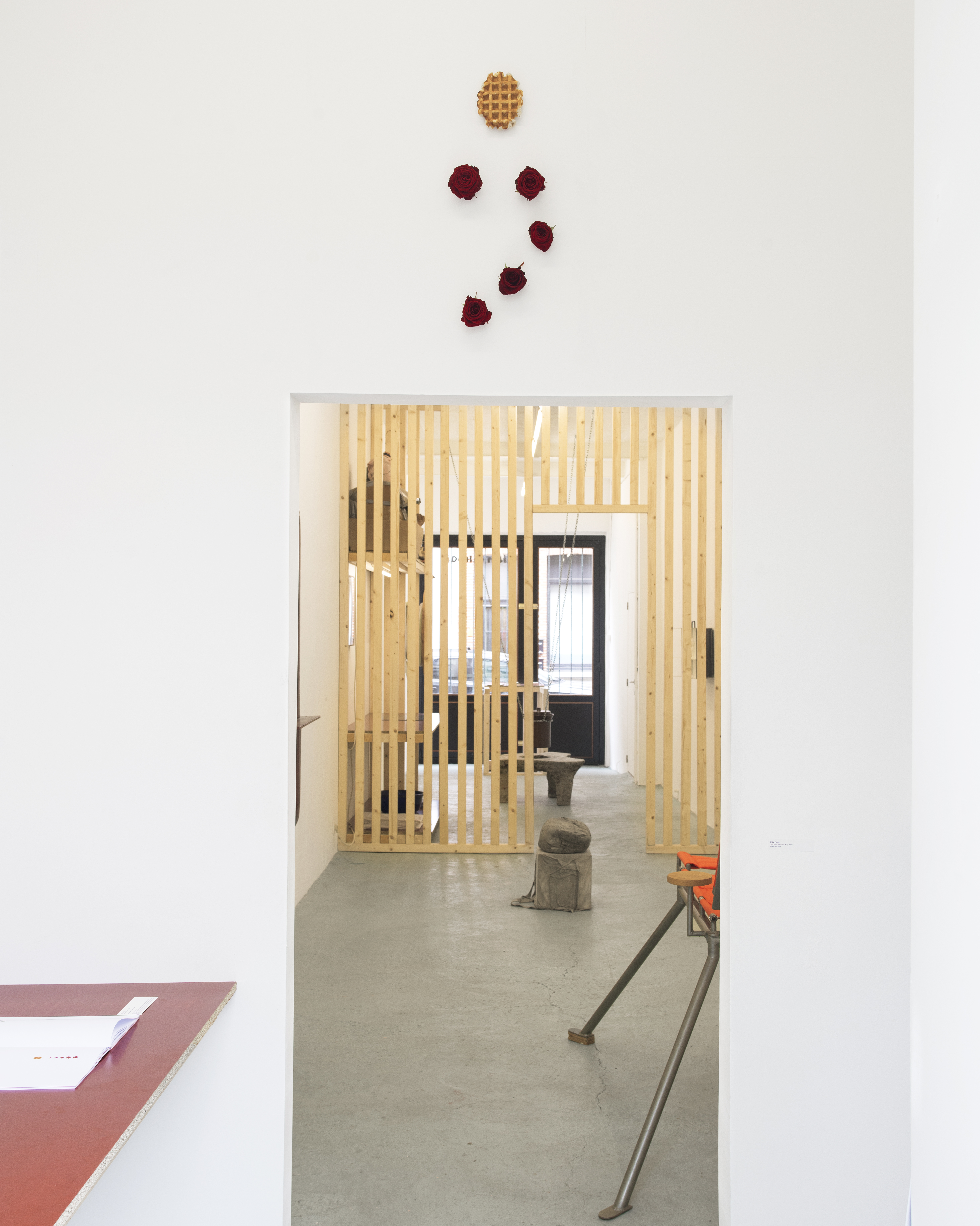 P|cture by Fabien Silvestre Suzor