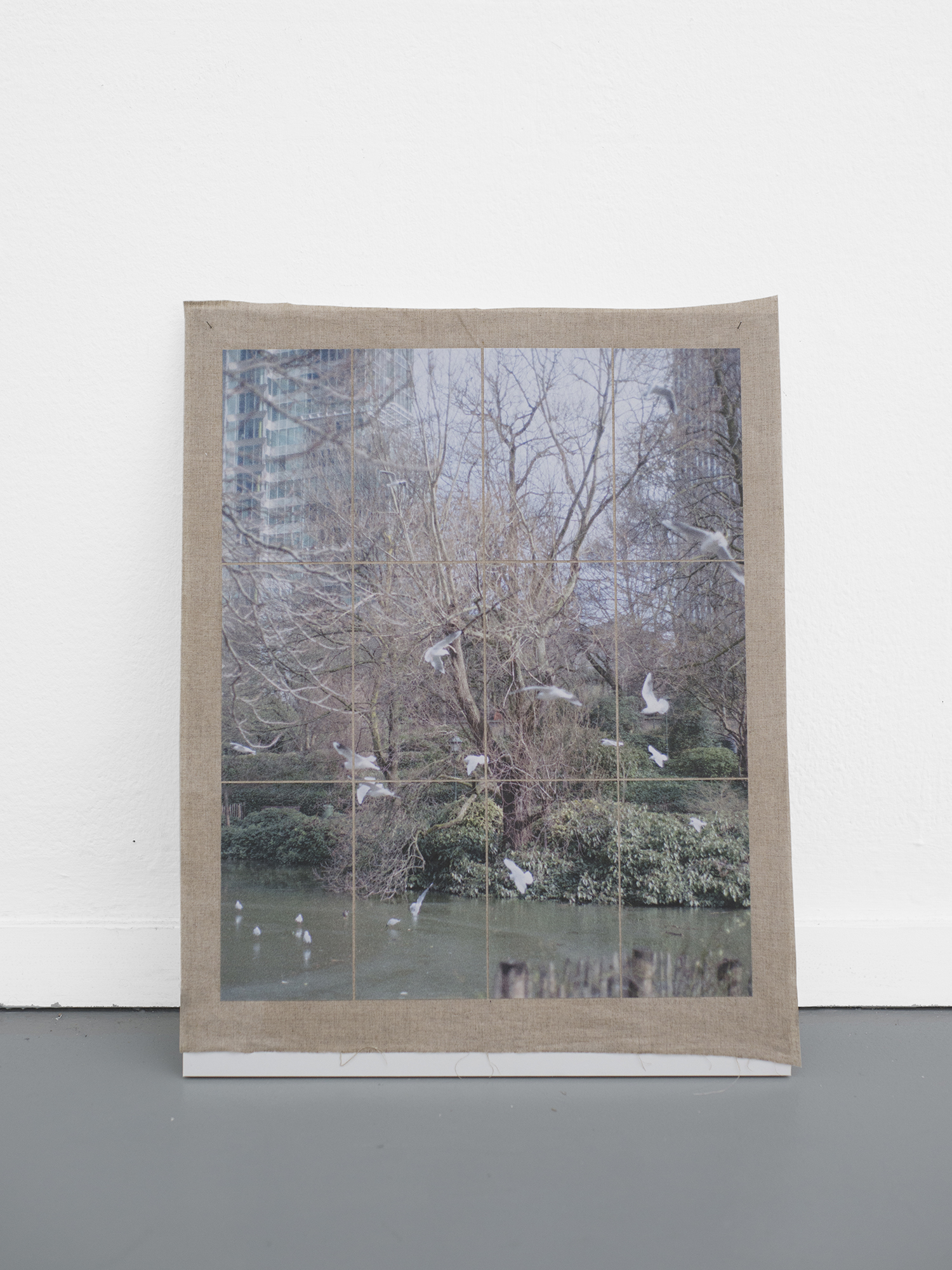 Structures, Birds, 2019 58 x 46 cm / 22.8 x 18.1 in. Archival pigment prints on Tosa Shi – 54 gsm, fixed on linen.